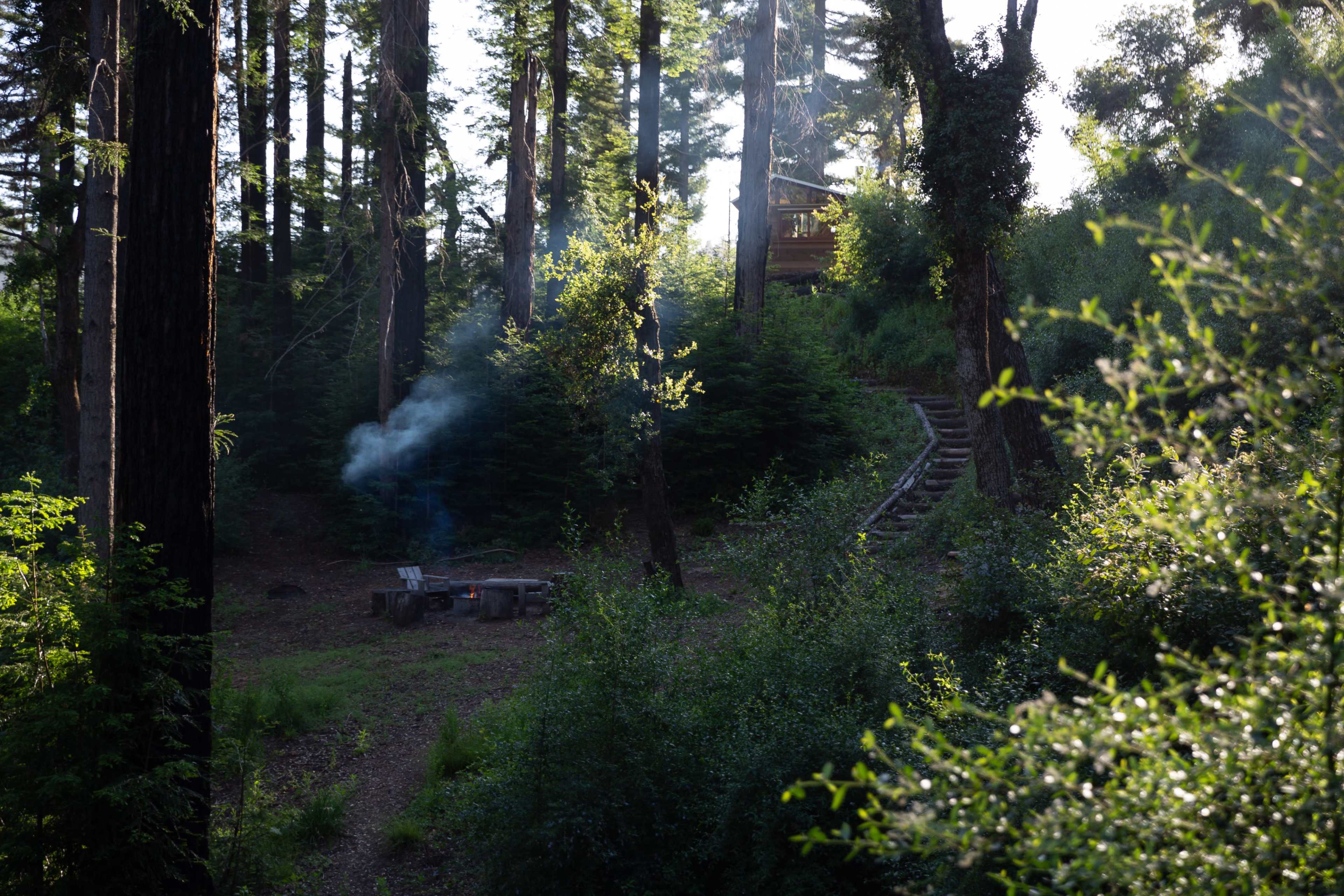 A secluded forest area with a fire pit surrounded by logs, smoke rising gently from the fire, and a set of steps leading up through the trees.