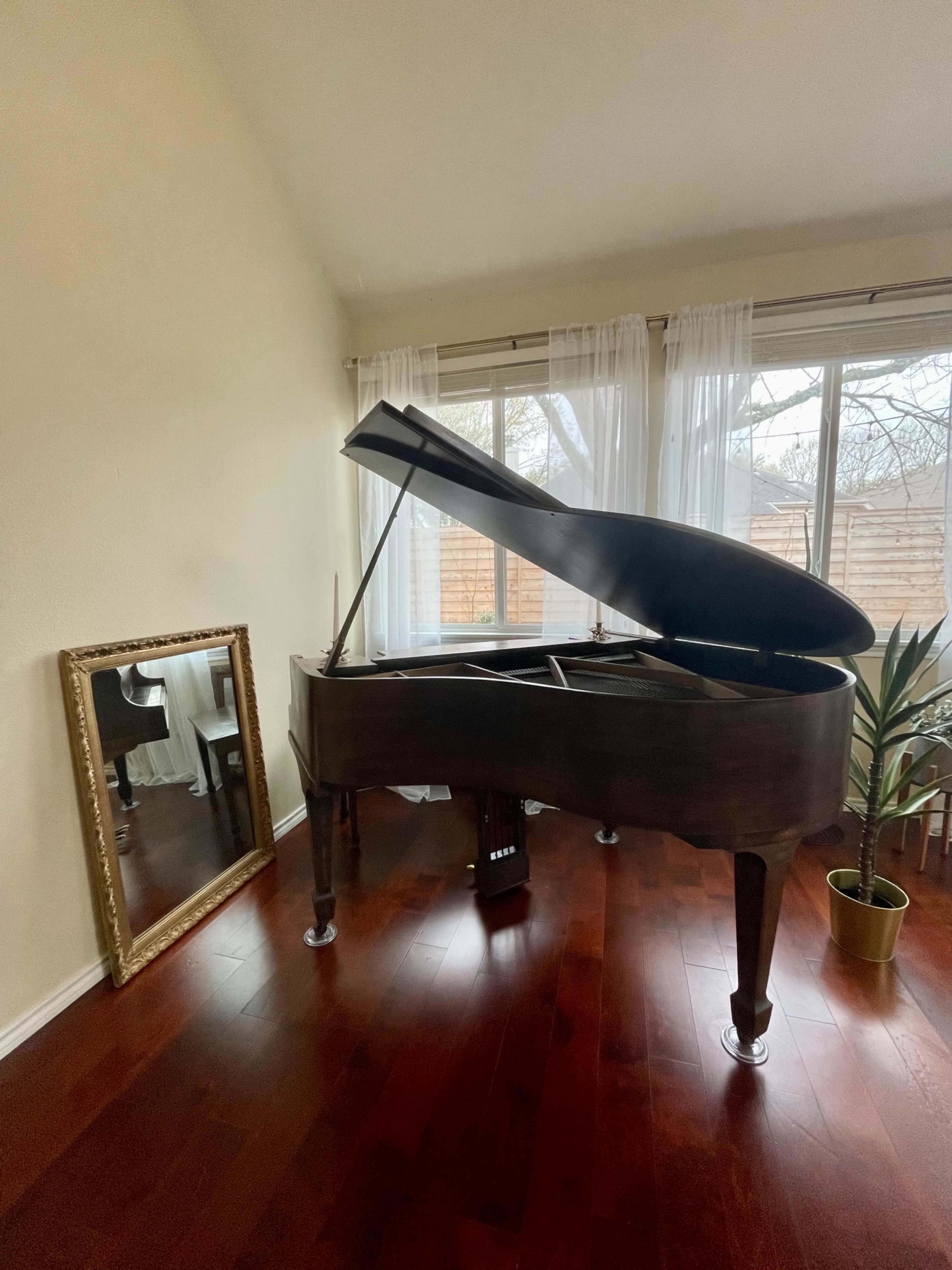 A grand piano sits in a well-lit room beside a large mirror and a potted plant.