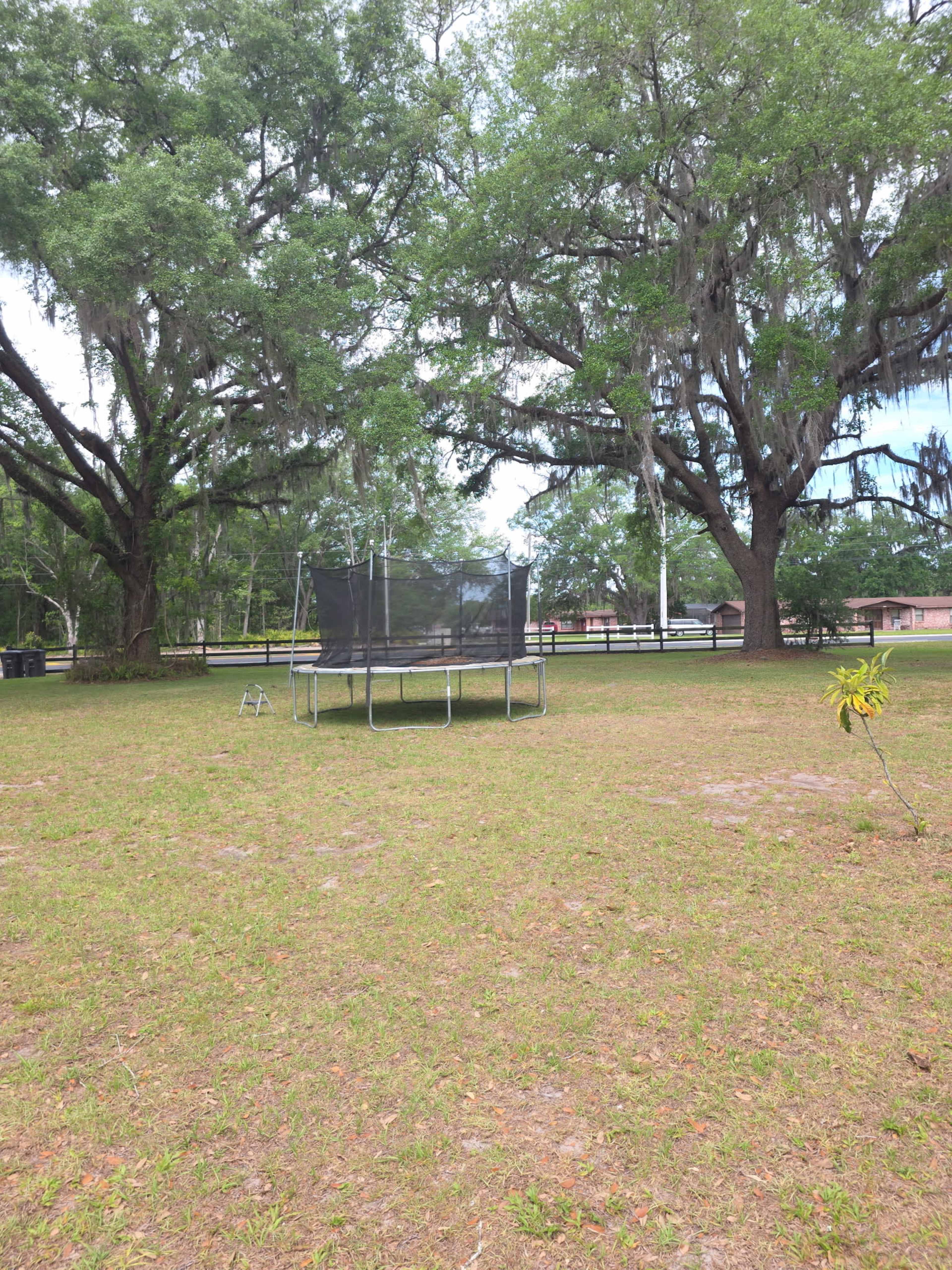A trampoline is set up in a grassy area surrounded by large trees.