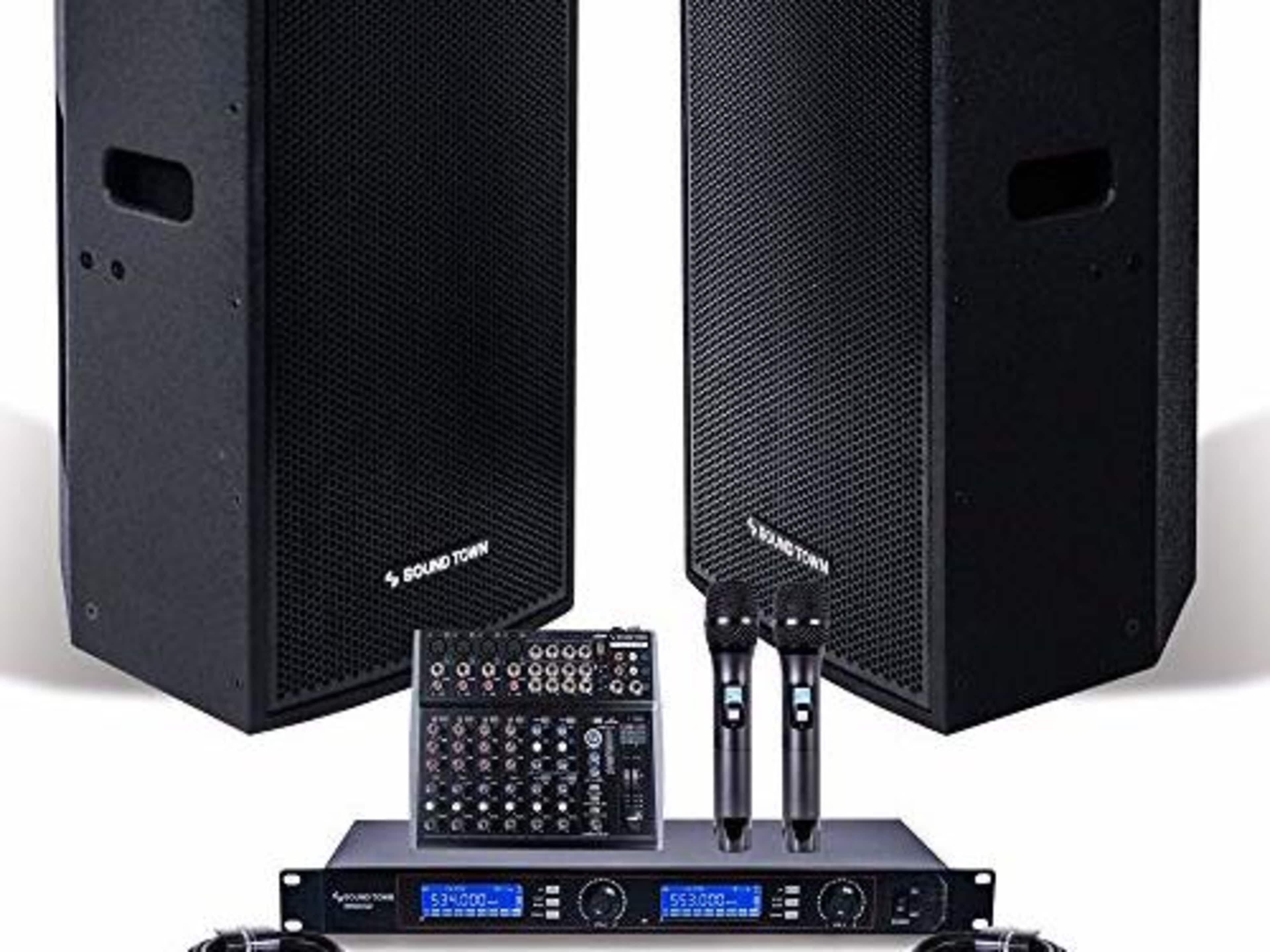TIER 2 - PA System, Subs, Wireless Mics, Staffing