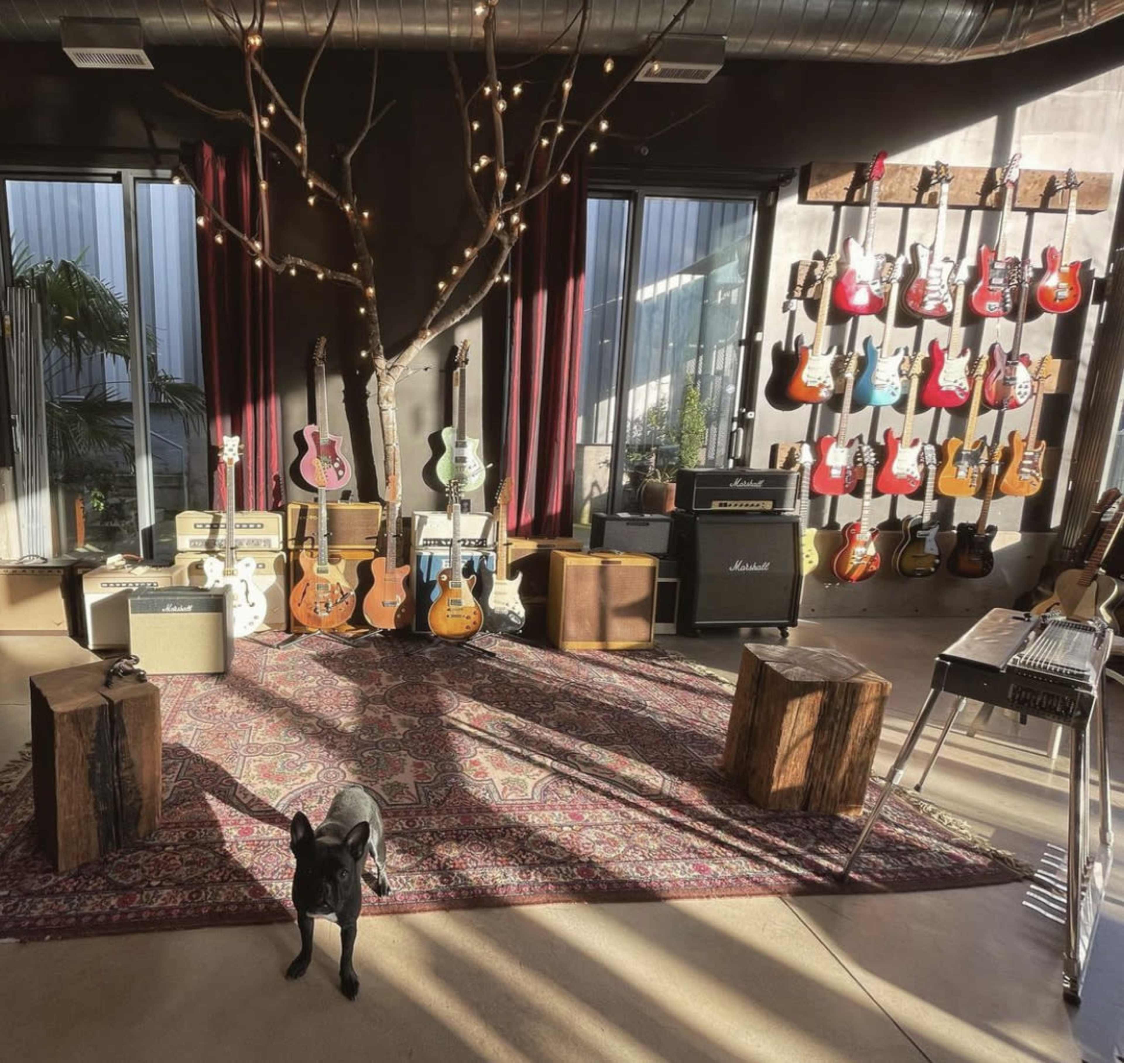A music studio features a variety of guitars displayed on the wall, a collection of amplifiers on the floor, wooden stools, and a black dog on a patterned rug.