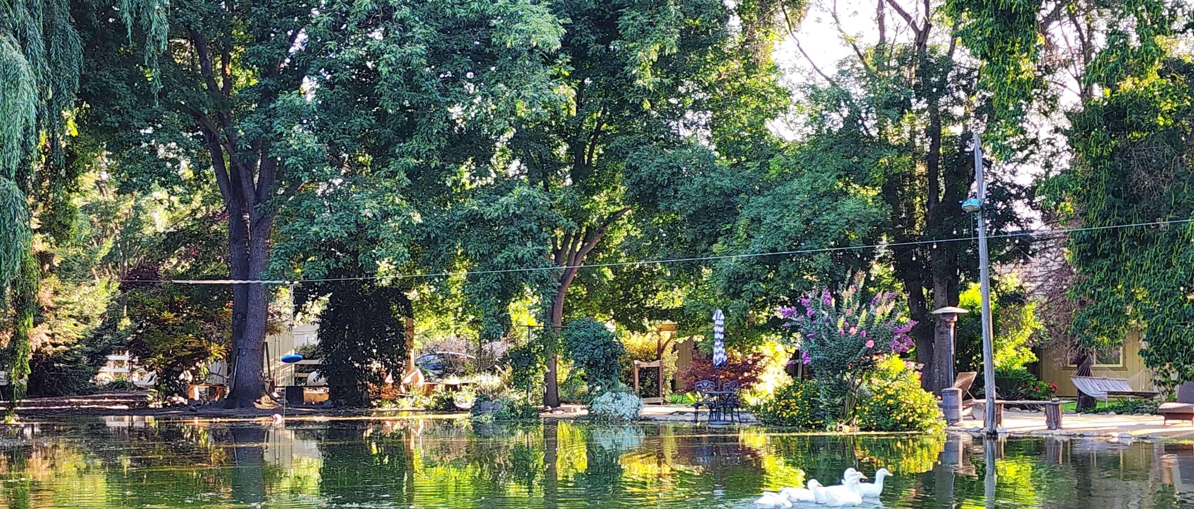 Country Resort, Lake Shore look optional, surrounded by 150 trees Image in , Modesto, CA