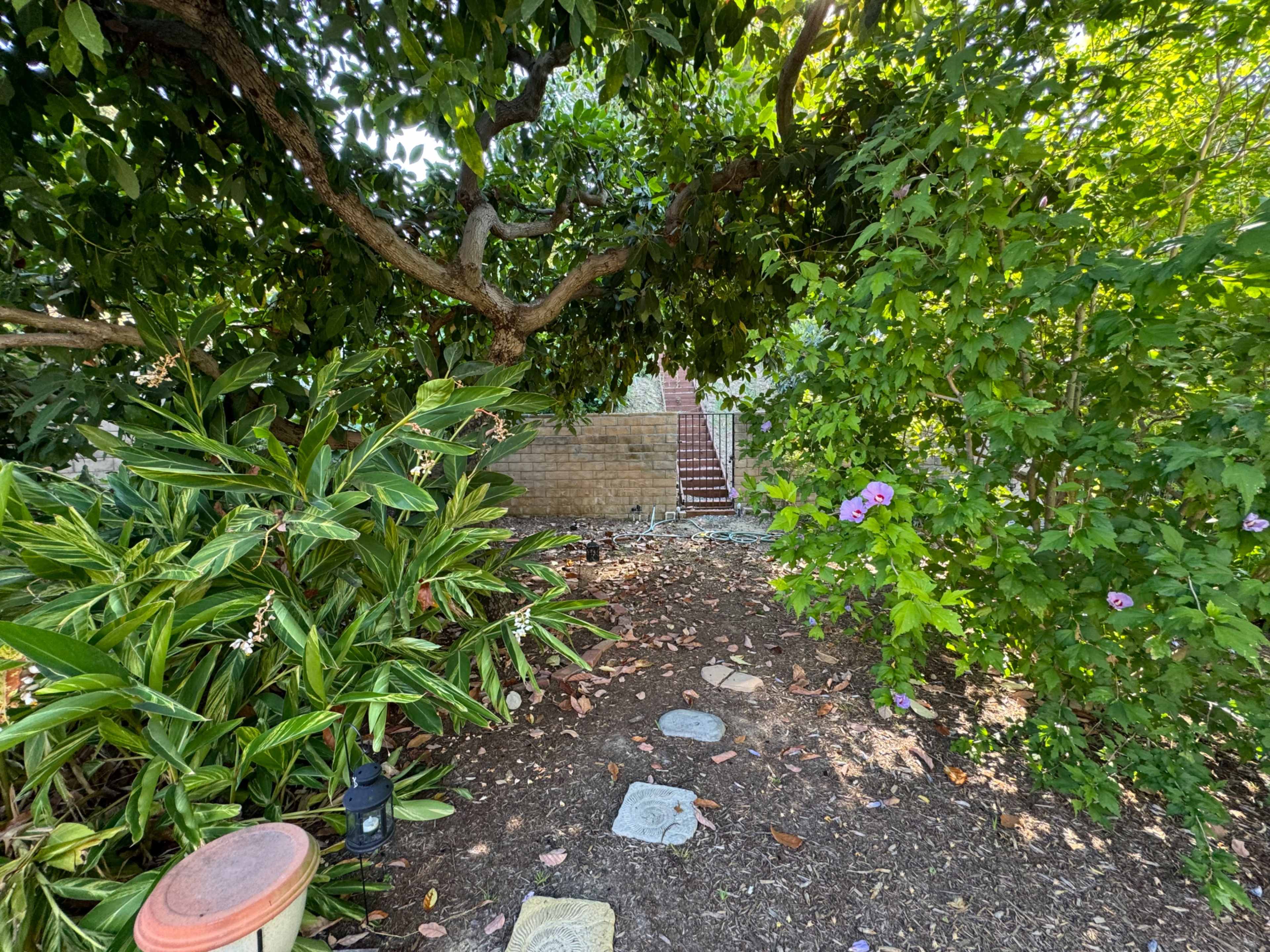 A stone pathway leads through lush greenery toward a set of stairs at the back of a garden area.
