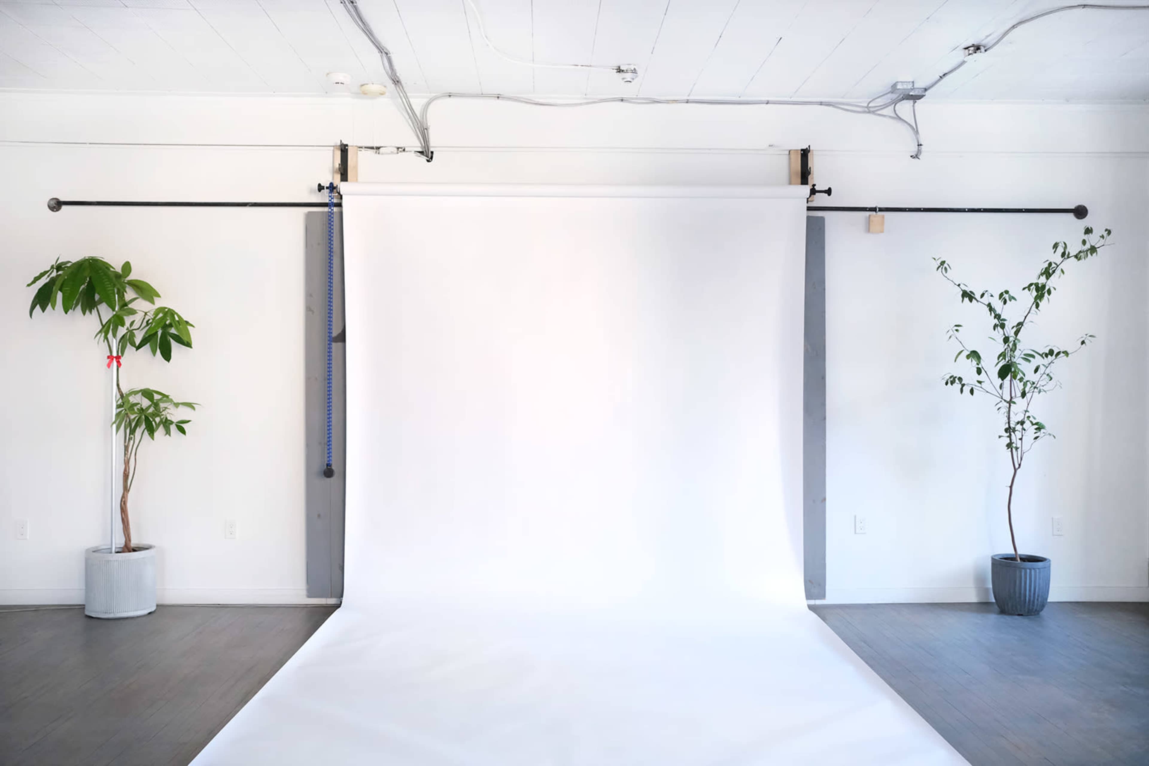 A minimalist studio space with a white backdrop and two potted plants on either side.