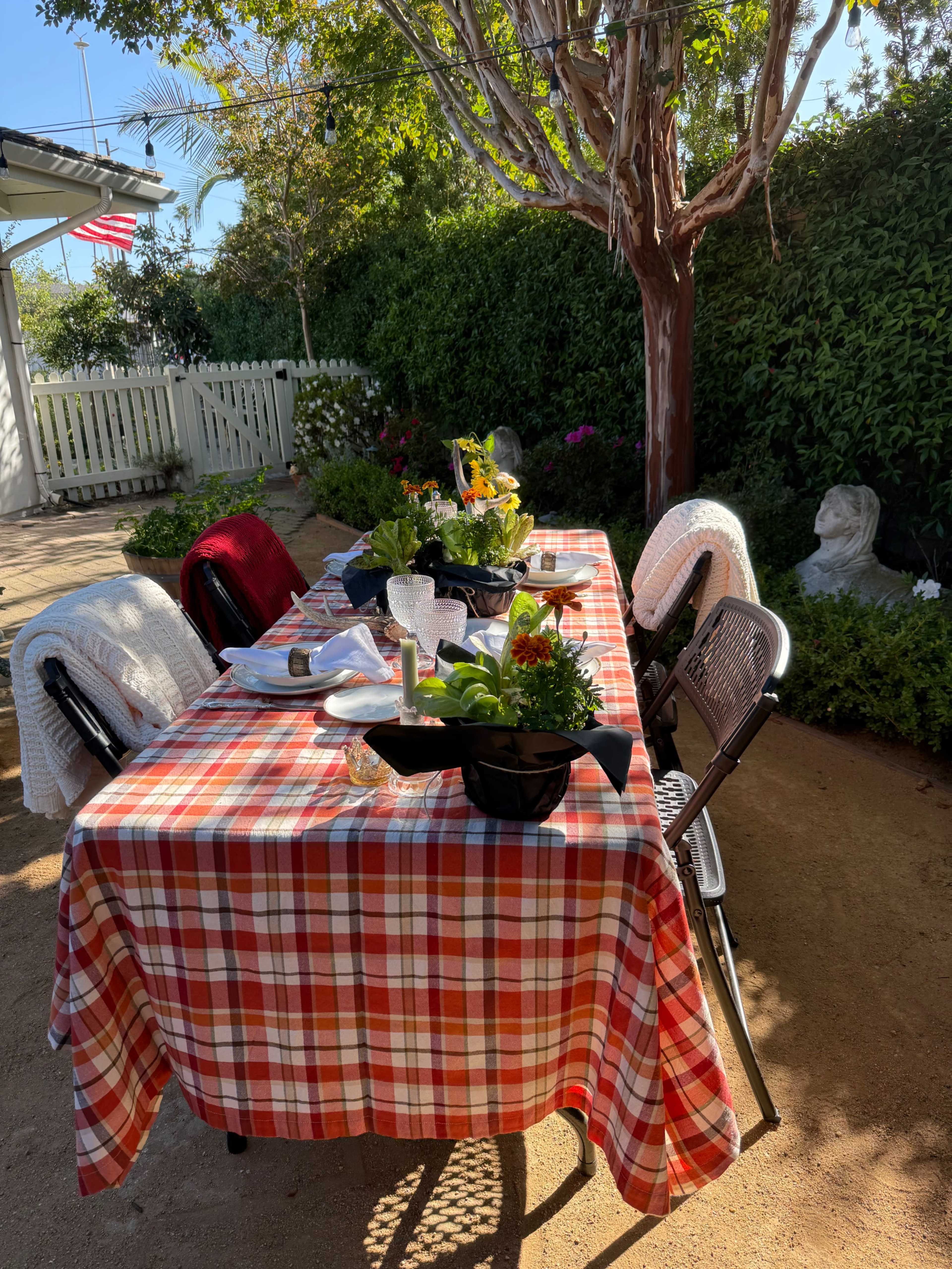 A table is set outdoors with a red and white plaid tablecloth, surrounded by chairs, and decorated with potted plants and dishes.