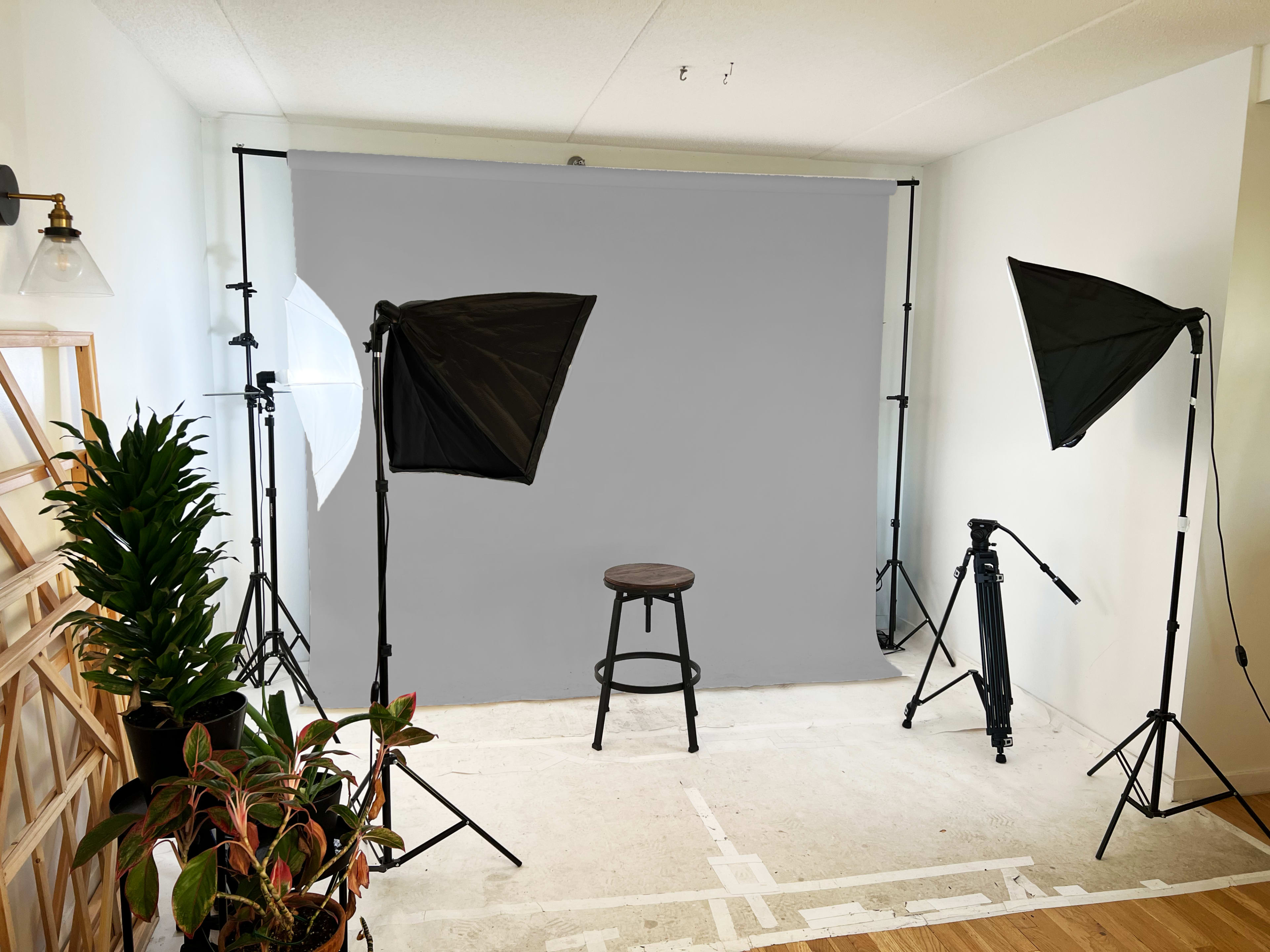 A photography setup with two softbox lights, a gray backdrop, a wooden stool in the center, and potted plants along the sides.