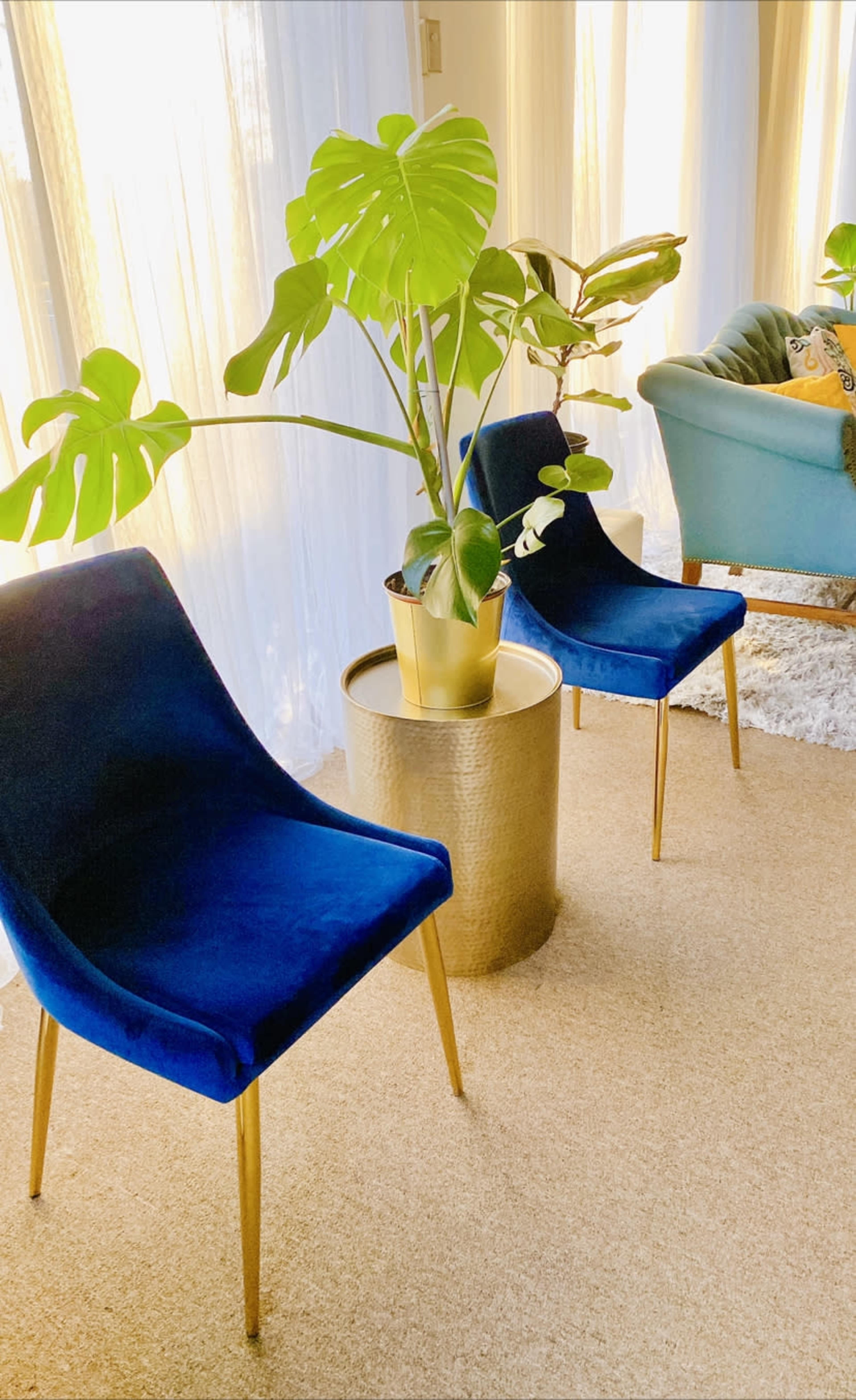 Two blue velvet chairs are positioned beside a round golden table, topped with a potted plant, in a brightly lit room with sheer curtains.