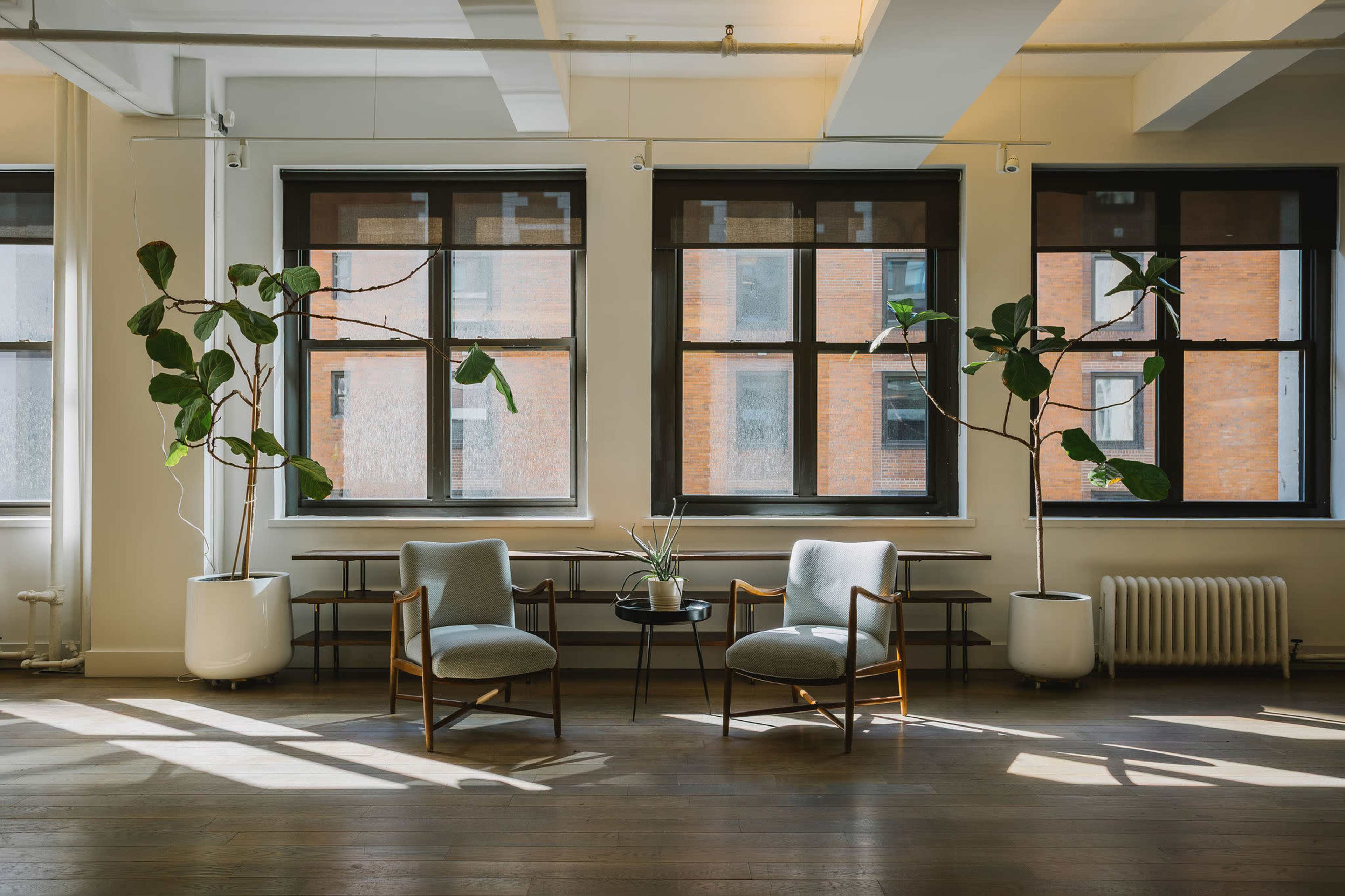 The image shows a modern interior space featuring two light gray chairs, a small black table, and two large potted plants, with sunlight streaming through tall windows.
