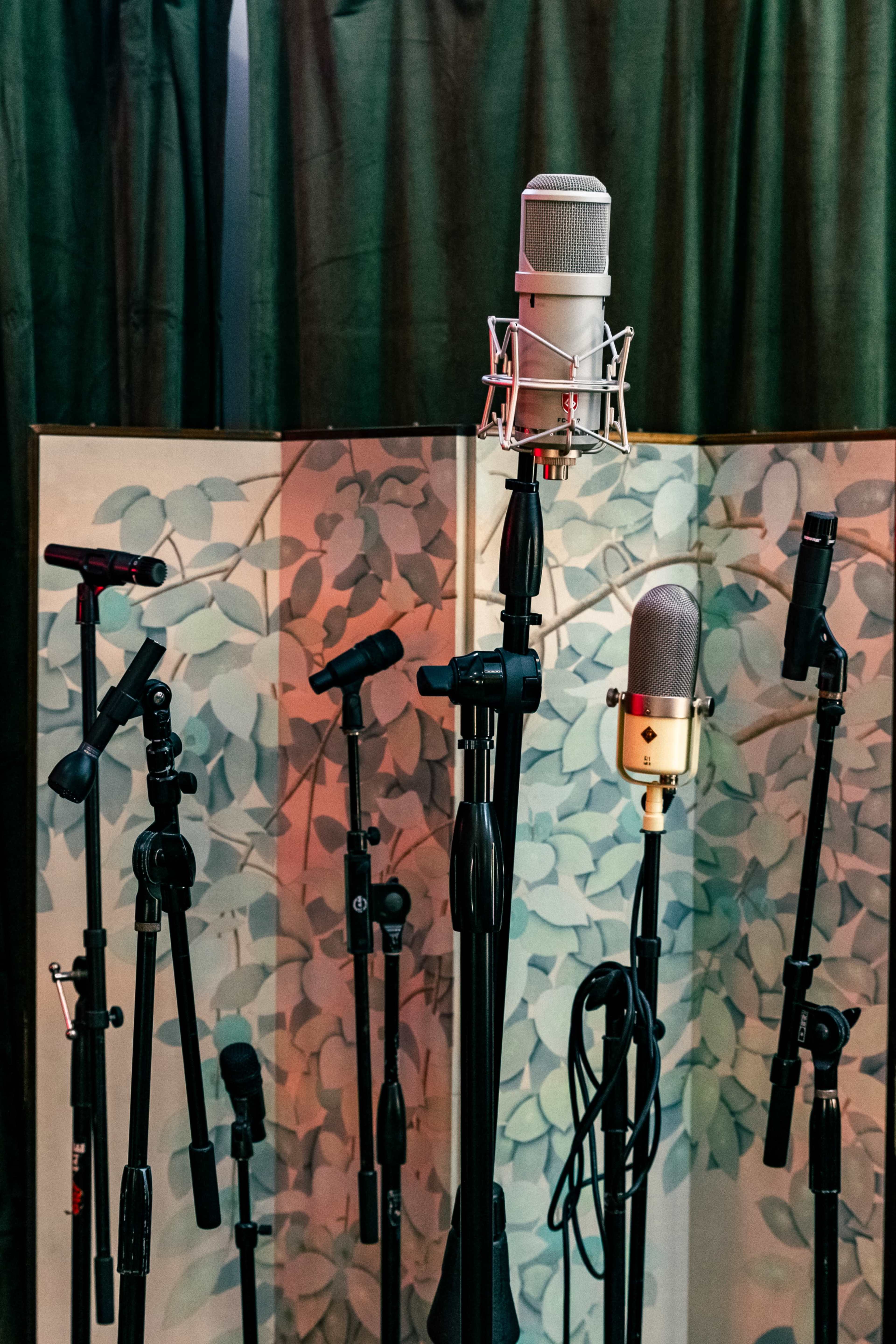 The image features several microphones of various types and sizes positioned in front of a decorative screen with a leafy design.