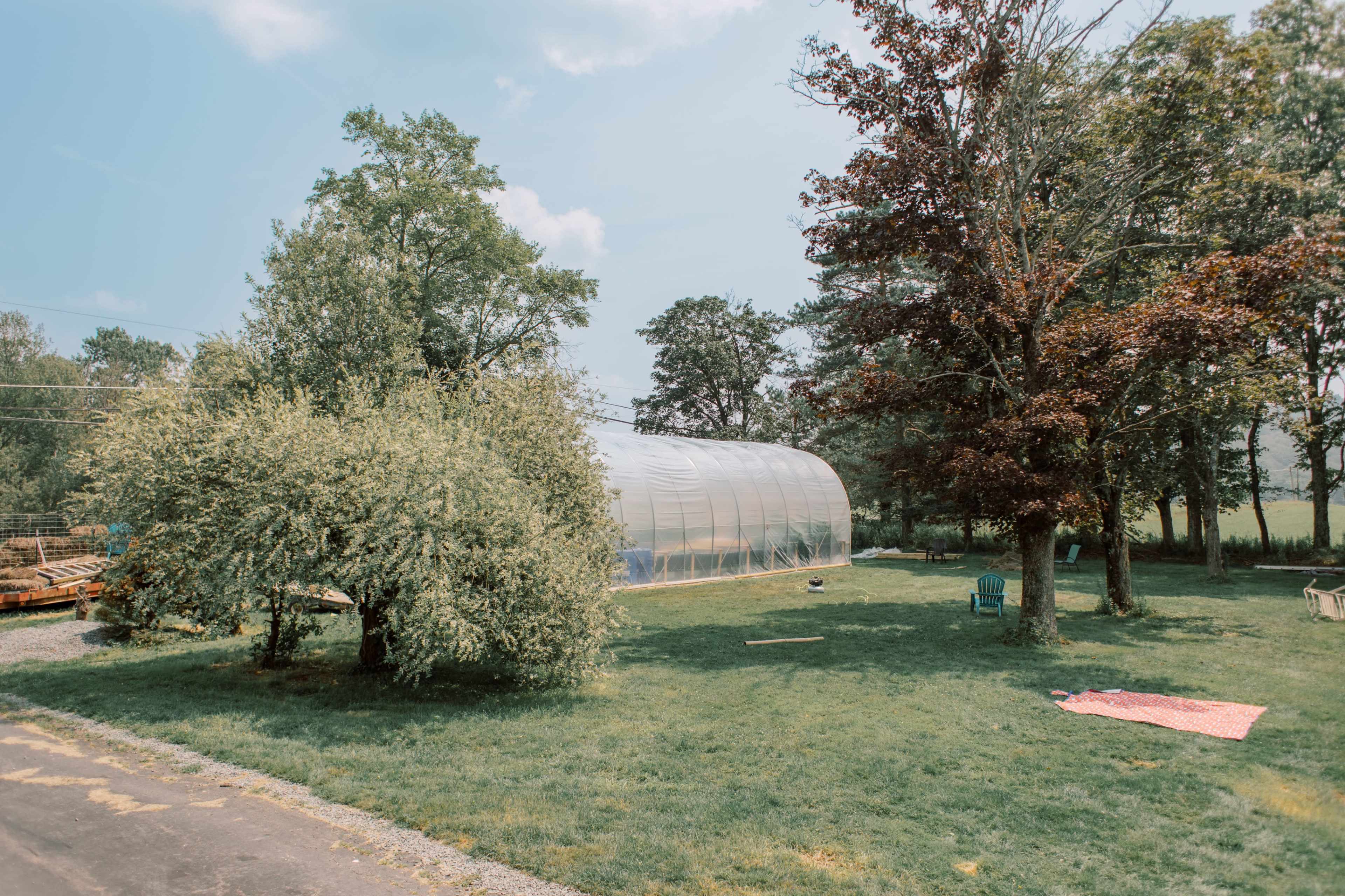 A greenhouse is situated on a grassy area surrounded by trees, with a road running alongside.