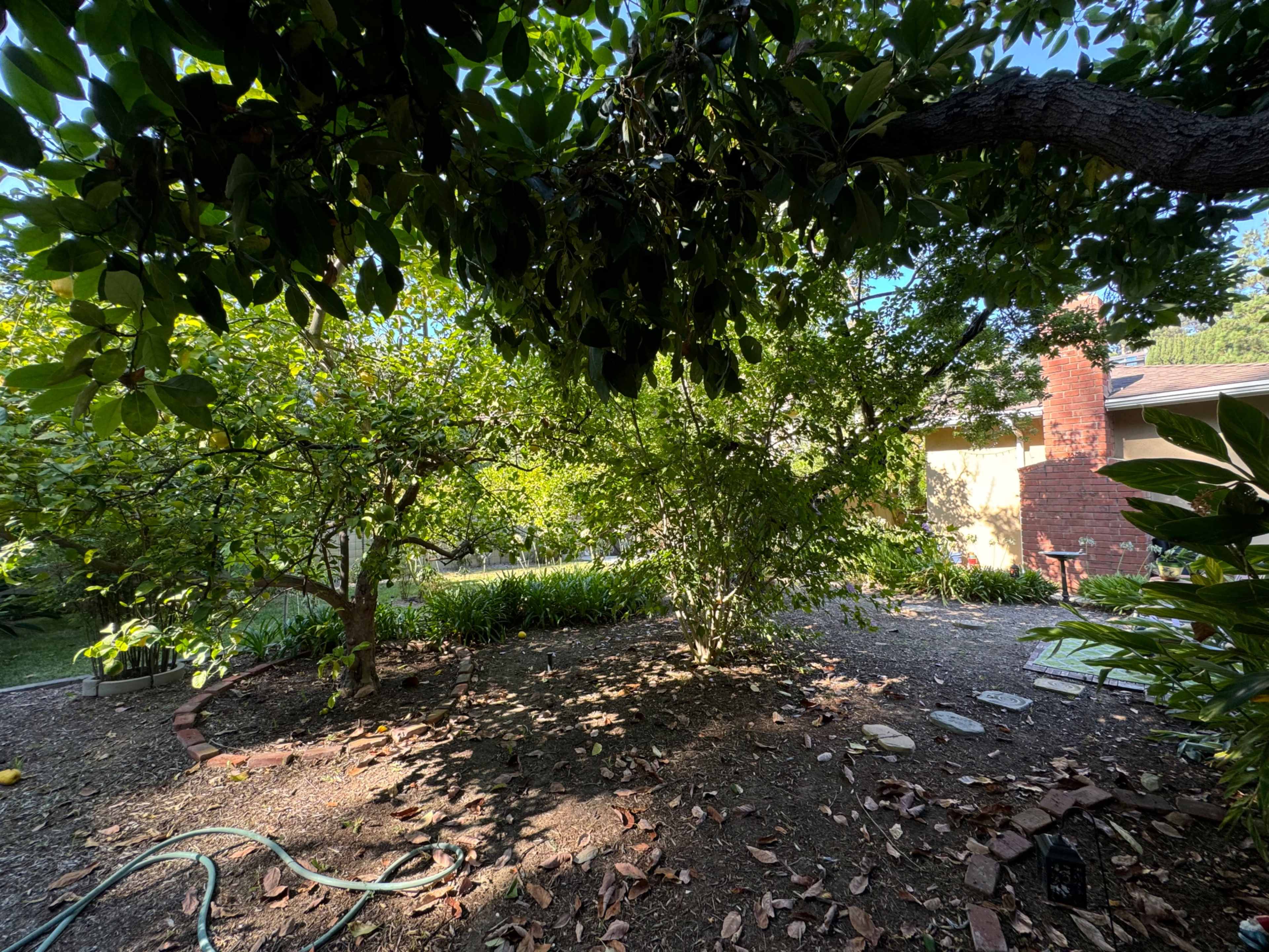 Retro 70’s House with Huge Outdoor Space Image in Northeast Los Angeles, Los Angeles, CA