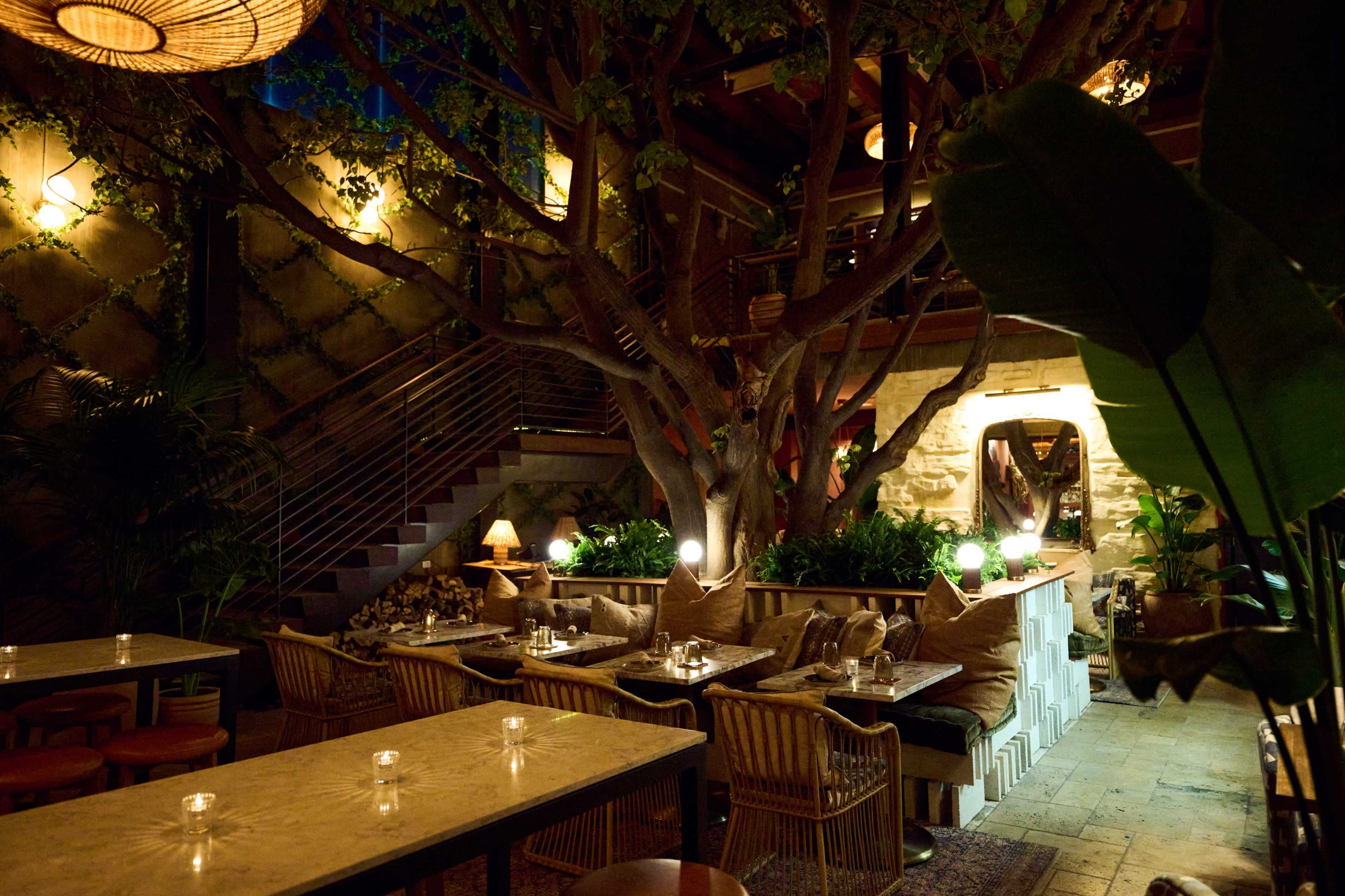 A cozy indoor dining area featuring a large tree, soft lighting, and a mix of tables and seating arrangements.