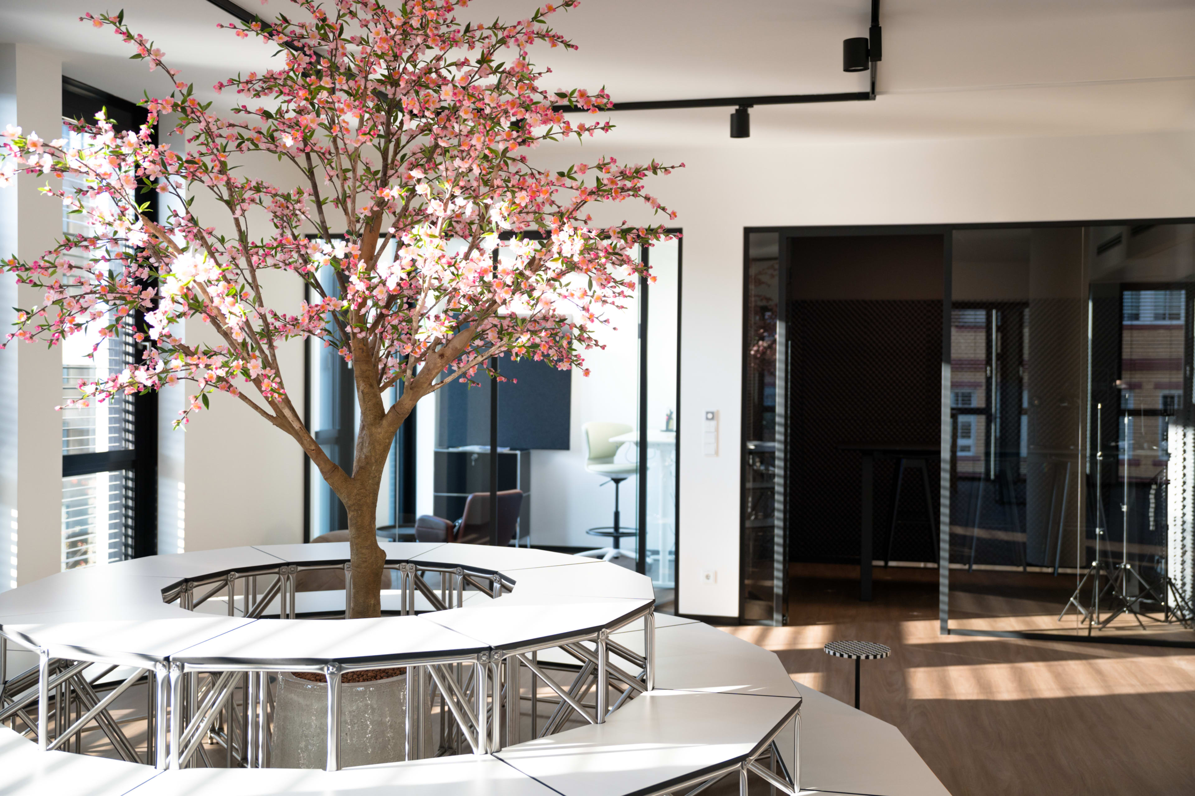 🎙️ Podcast Studio in Düsseldorf Image in Derendorf, Düsseldorf