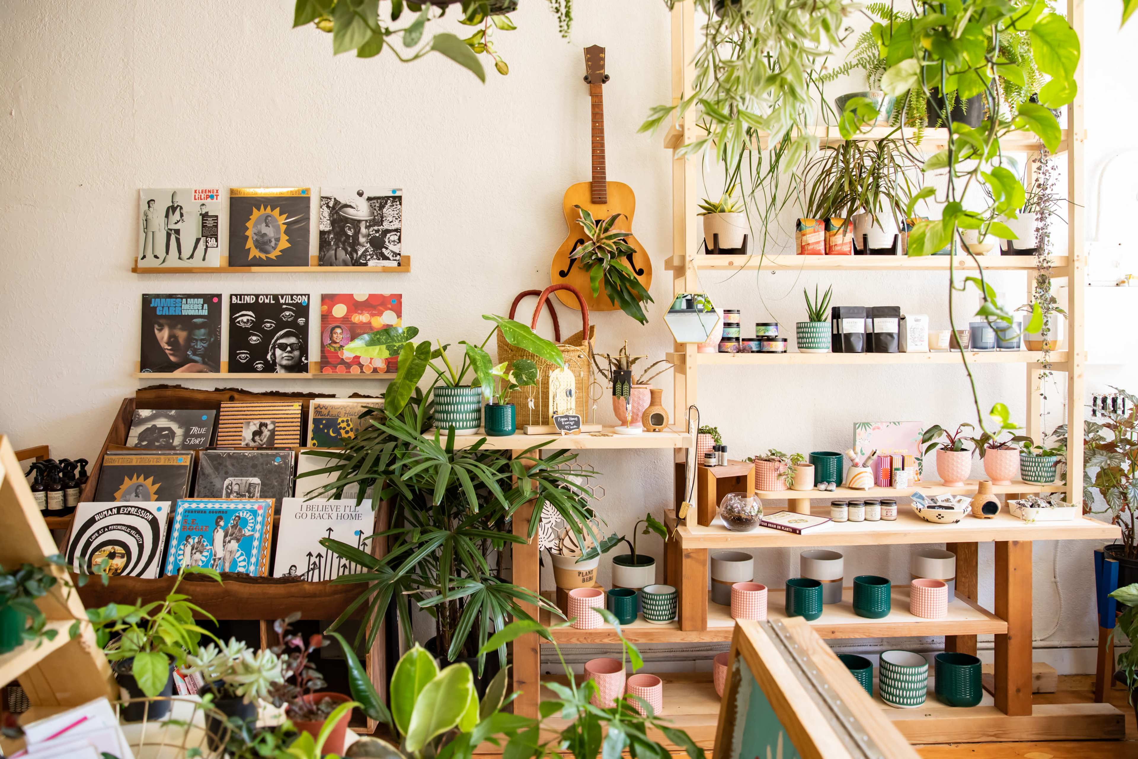 Beautiful light-filled plant shop with hidden spa room Image in Northeast Portland, Portland, OR