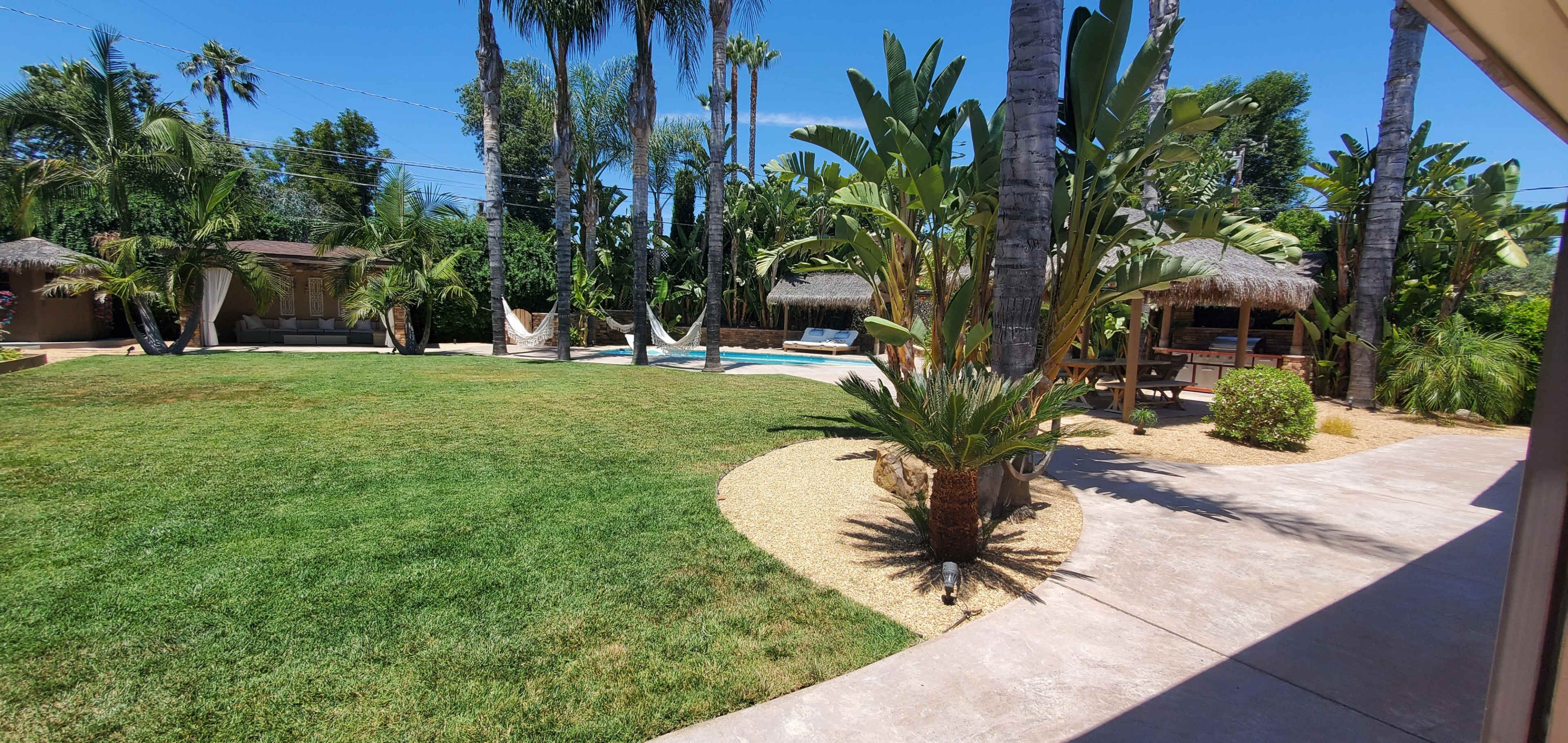 A landscaped backyard featuring a swimming pool, tropical plants, and a thatched-roof gazebo under bright blue skies.