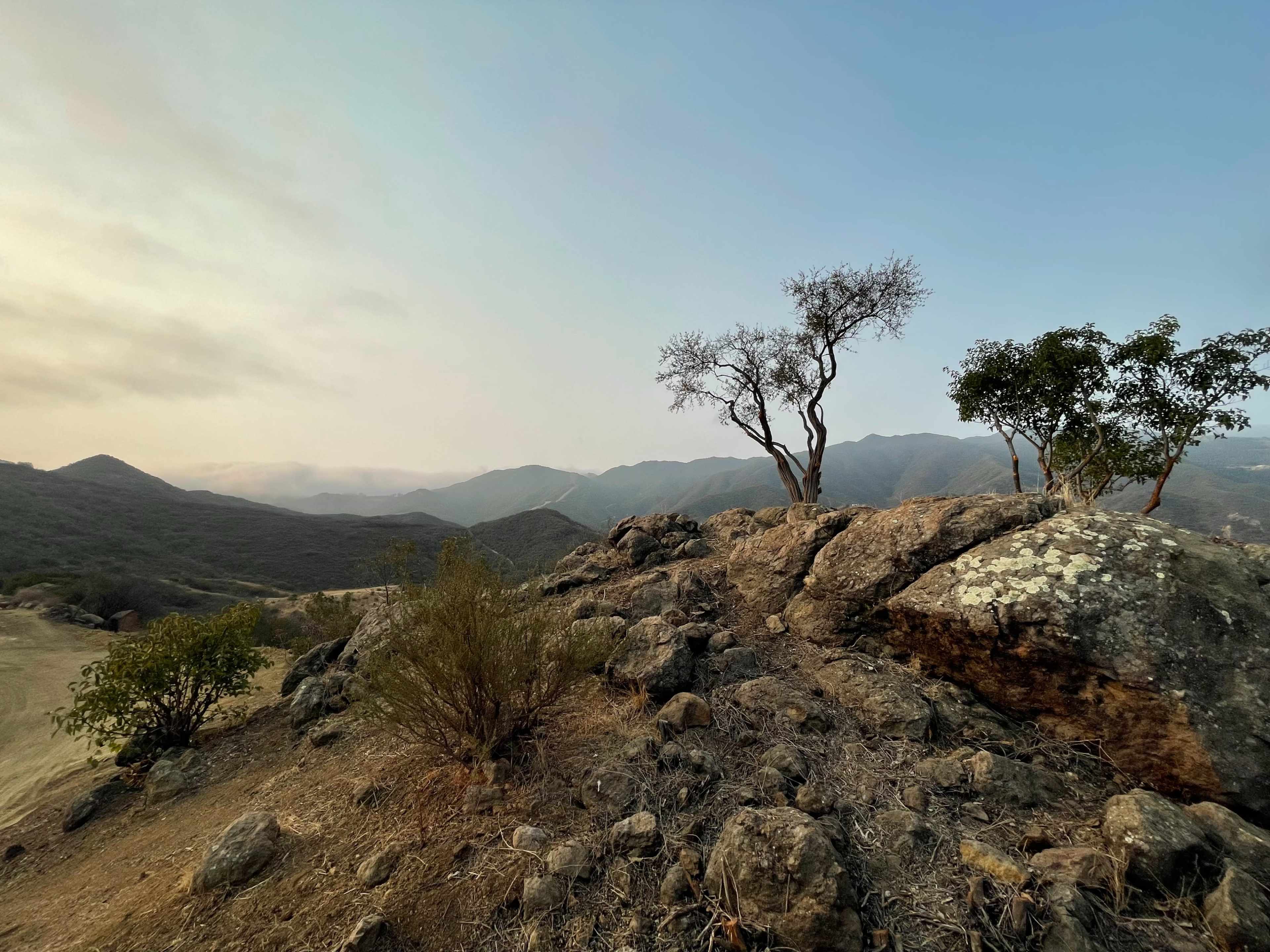 A rocky hillside features sparse trees and mountains in the background under a clear sky.