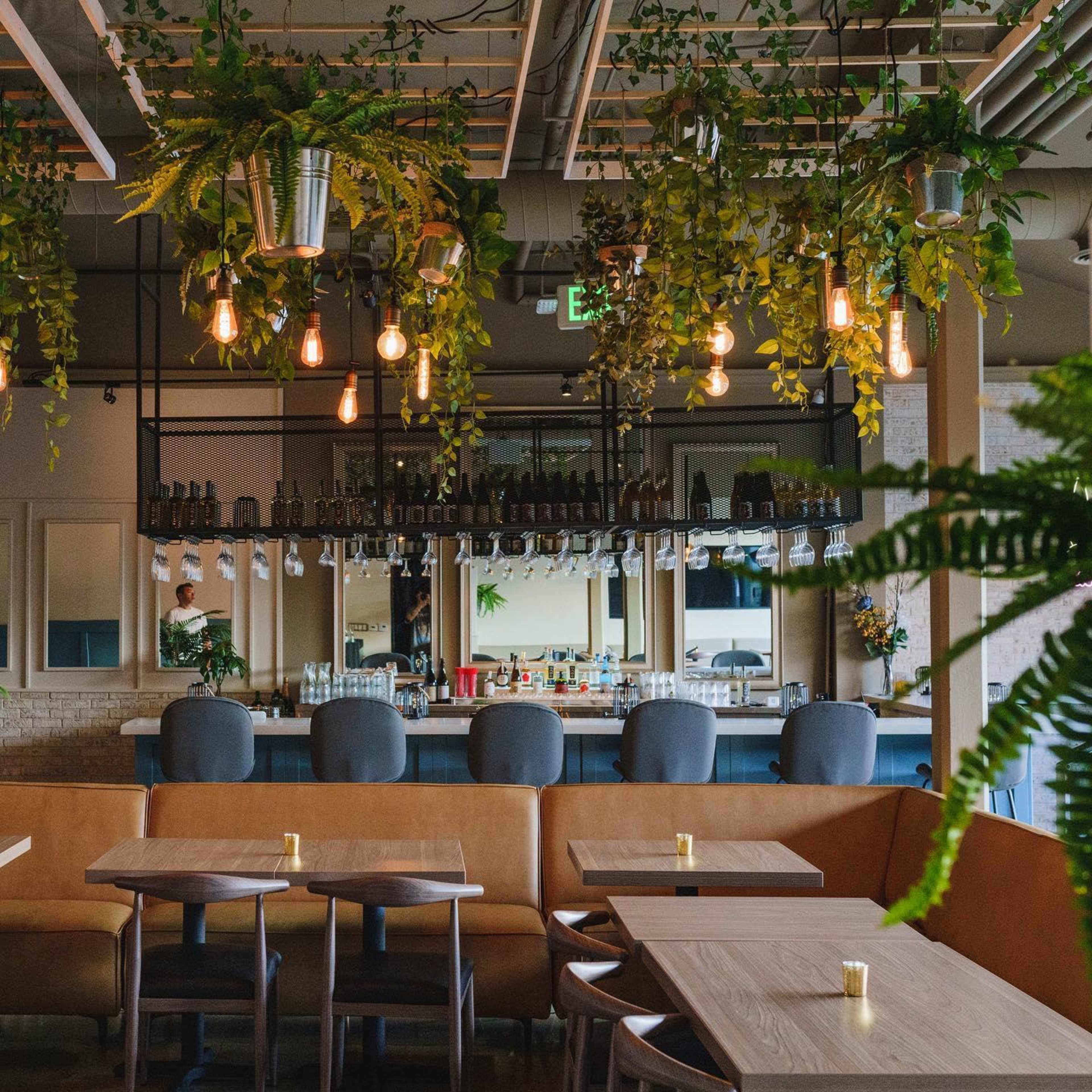 A modern restaurant interior with a bar, wooden tables, and hanging plants, illuminated by pendant lights.