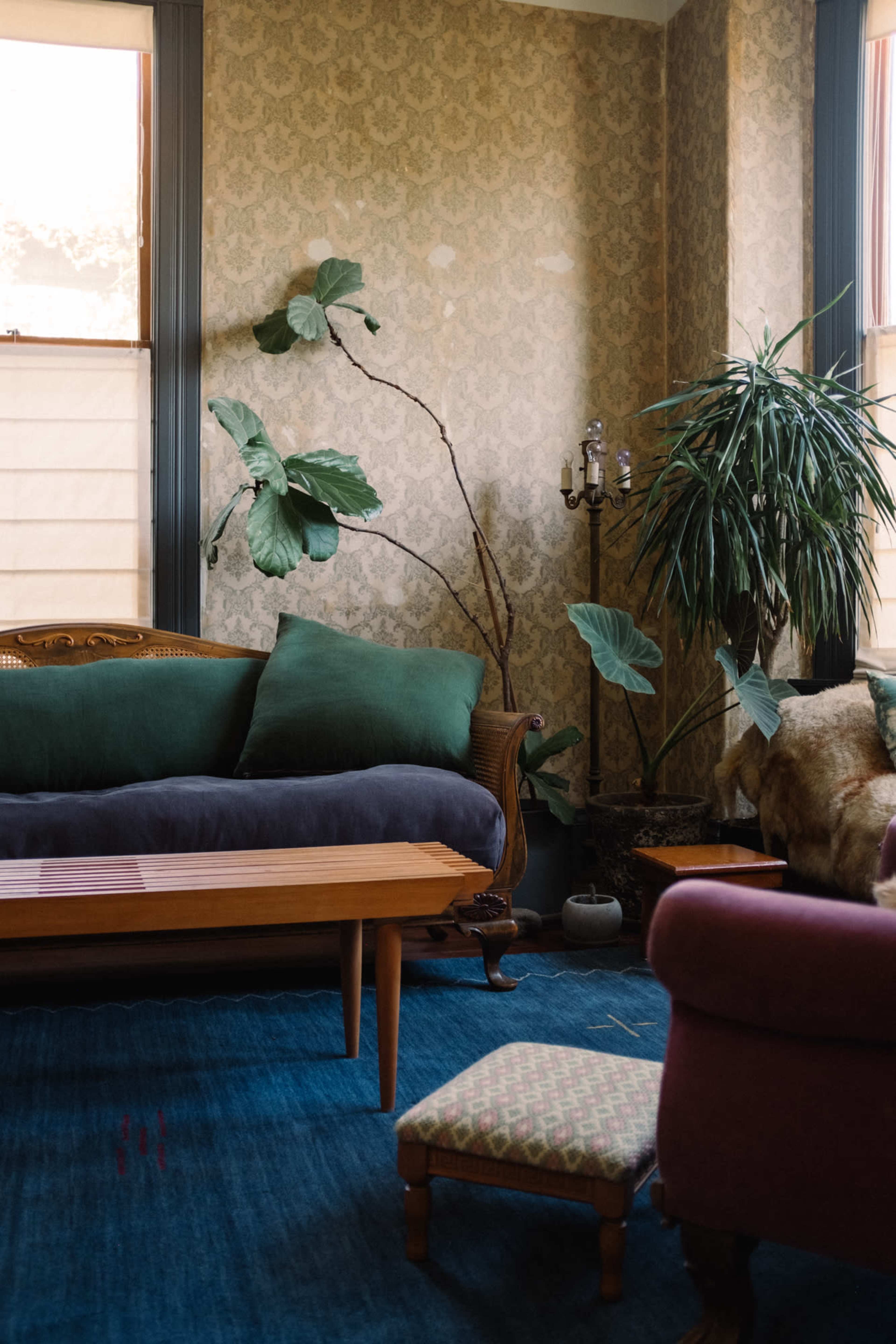 The image shows a cozy living room with a green and navy sofa, a wooden coffee table, and various indoor plants against a patterned wall.