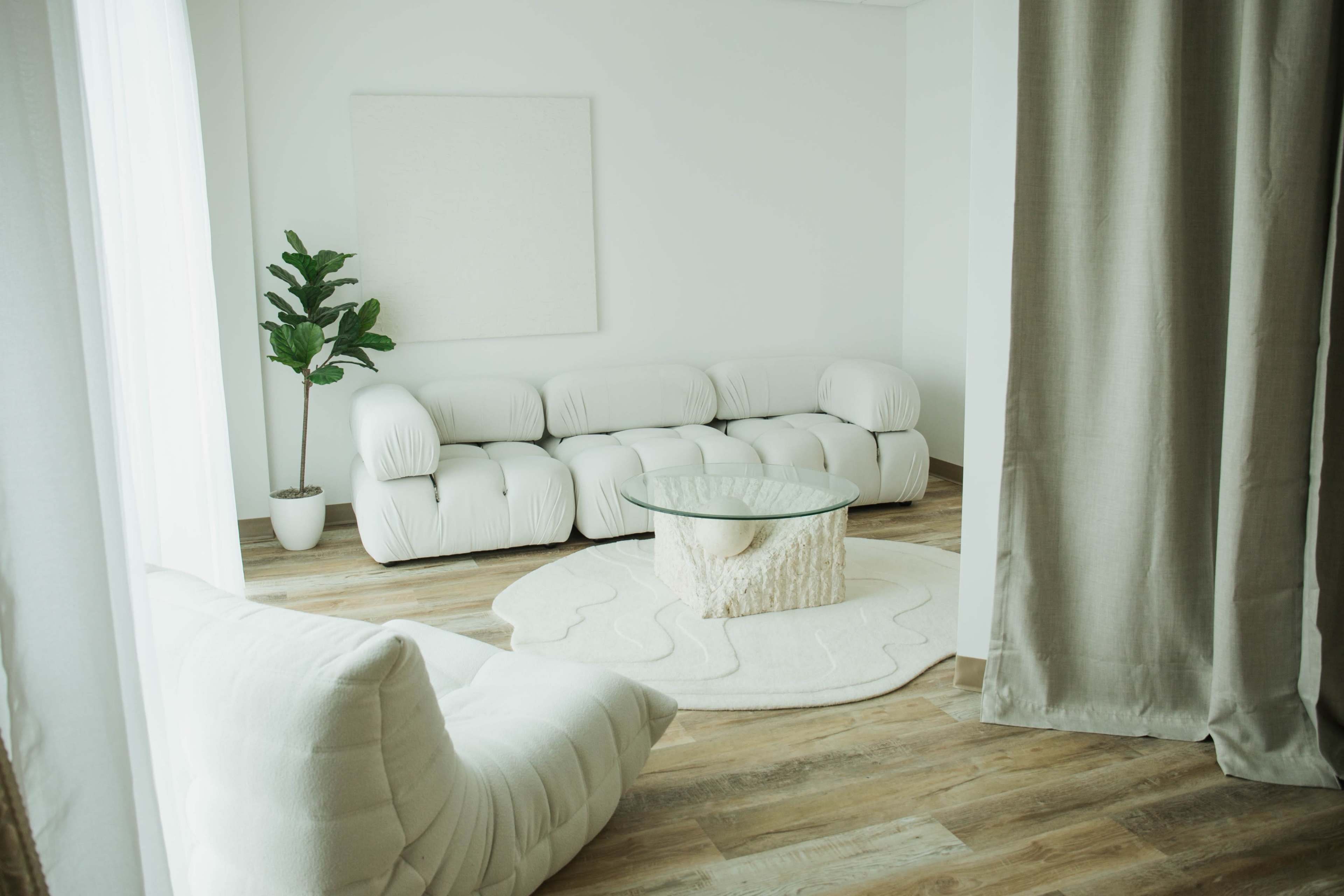 A modern living room with a white, plush sofa, a glass coffee table on a round rug, and a potted plant in the corner against a light-colored wall.