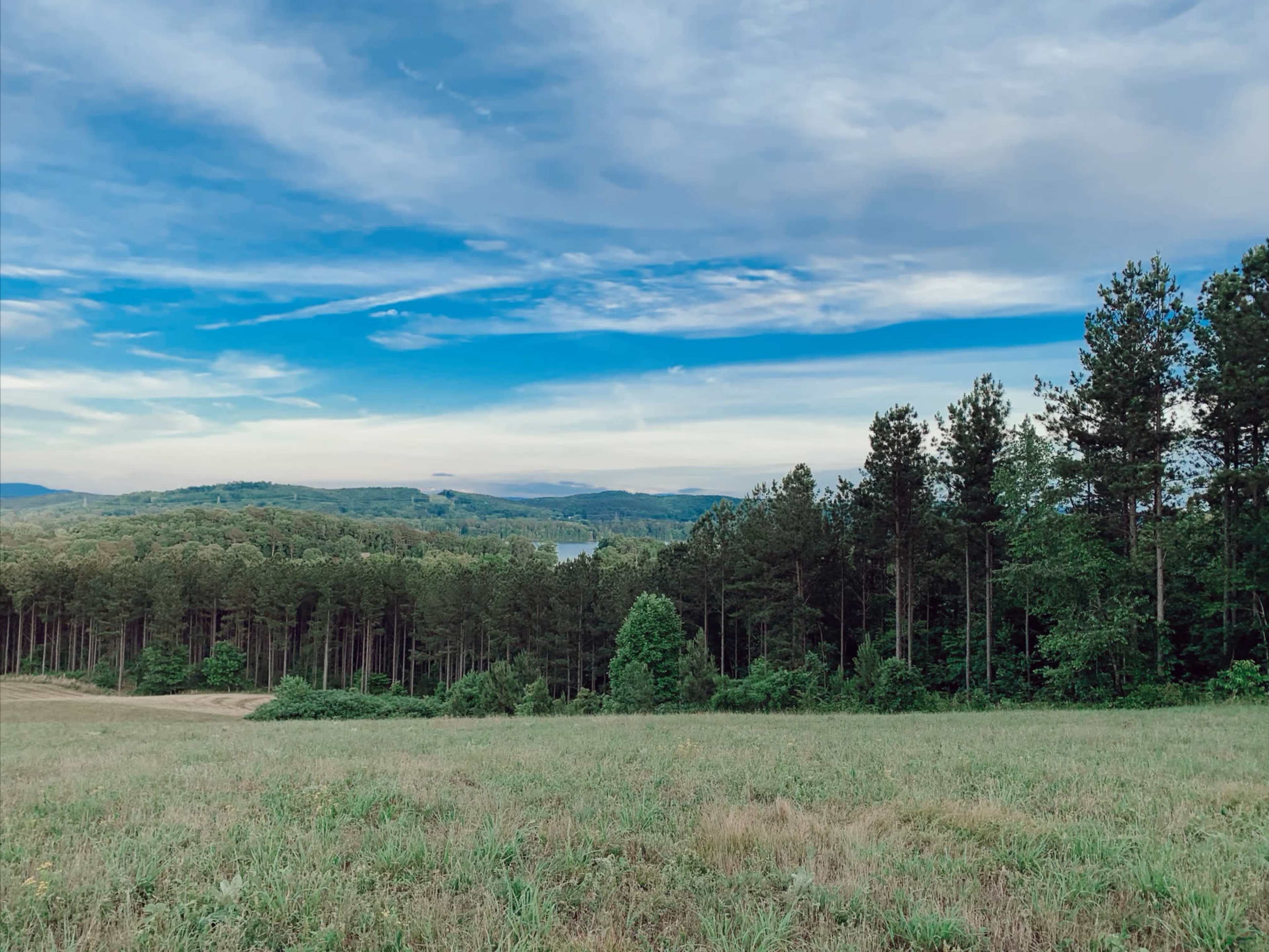 A grassy field stretches towards a forest of tall trees, with rolling hills and a blue sky in the background.