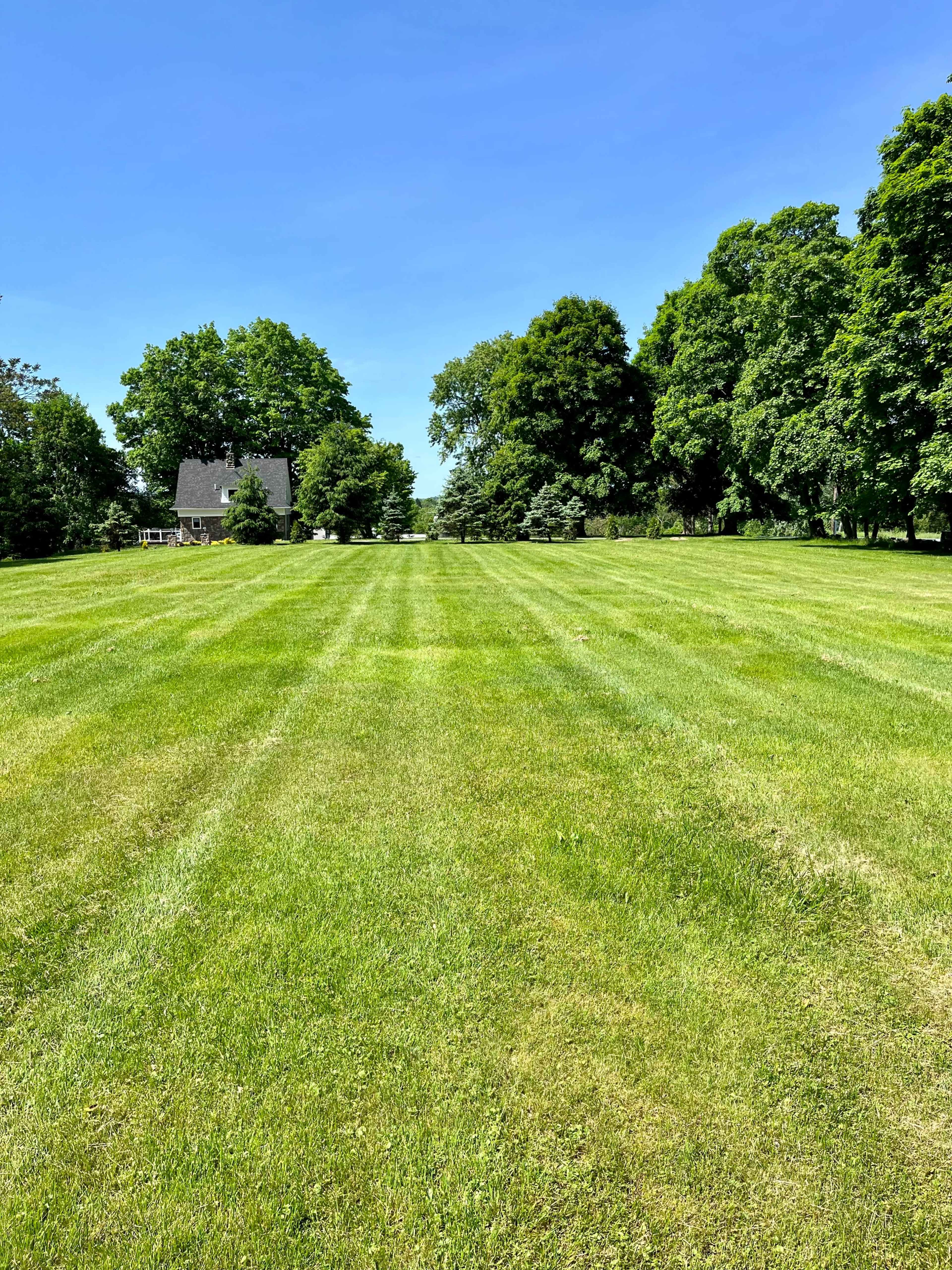 A lush green lawn with neatly mowed stripes stretches toward a house surrounded by trees under a clear blue sky.