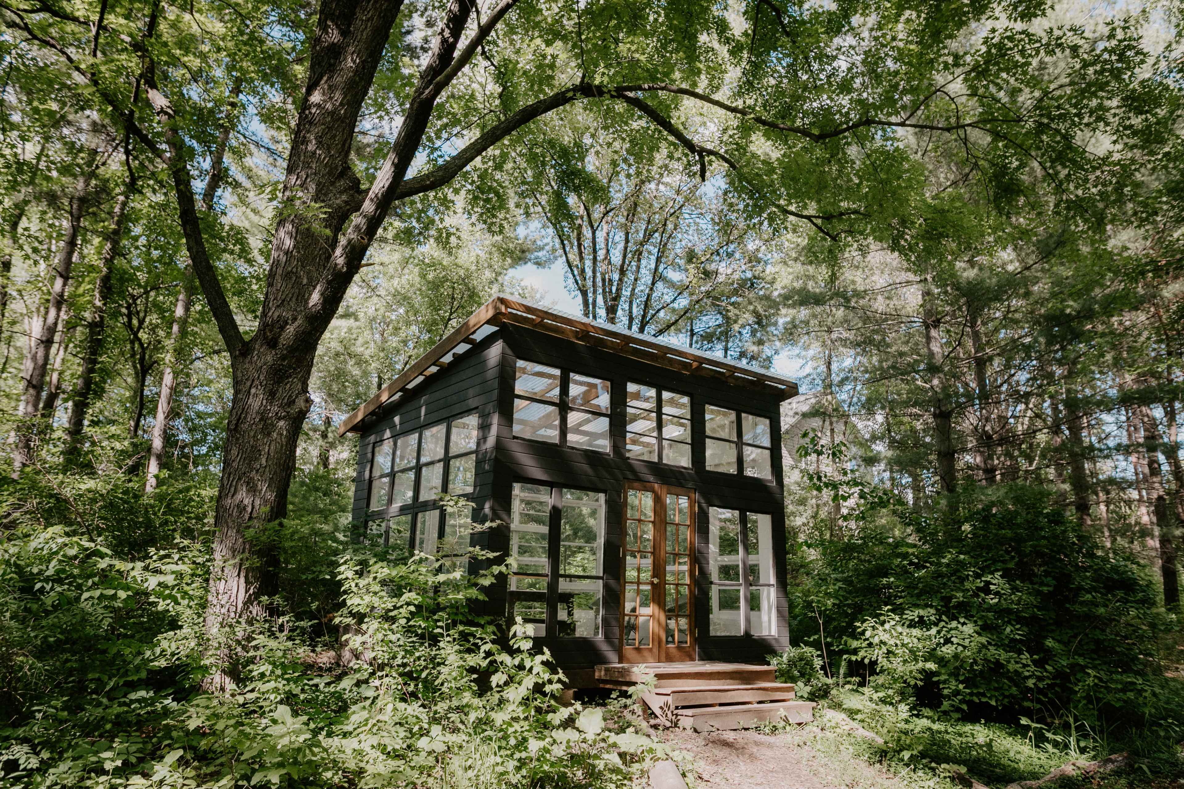 A small, modern cabin with large windows is nestled among dense trees and foliage in a wooded area.