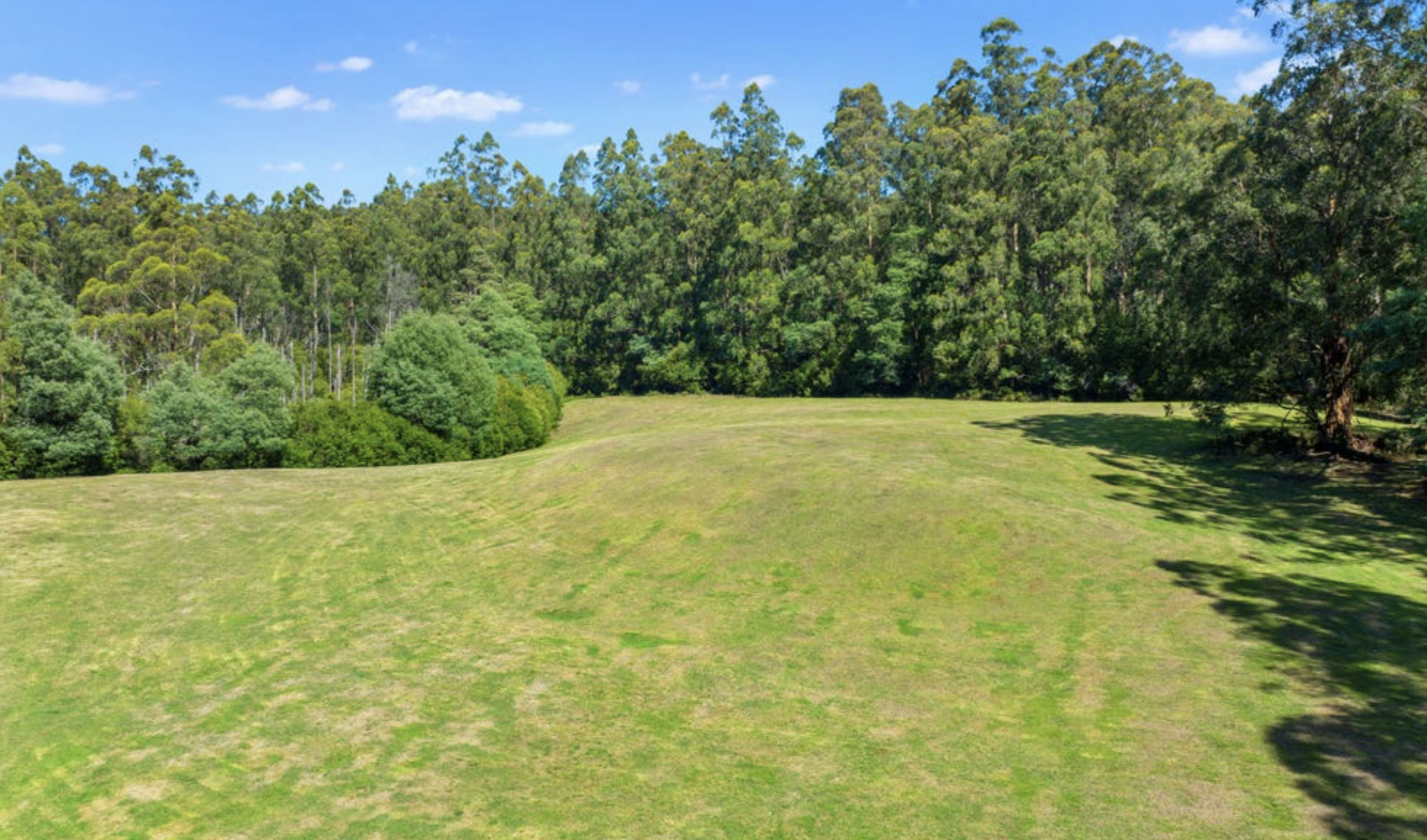 A grassy field is bordered by a dense line of trees under a clear blue sky.