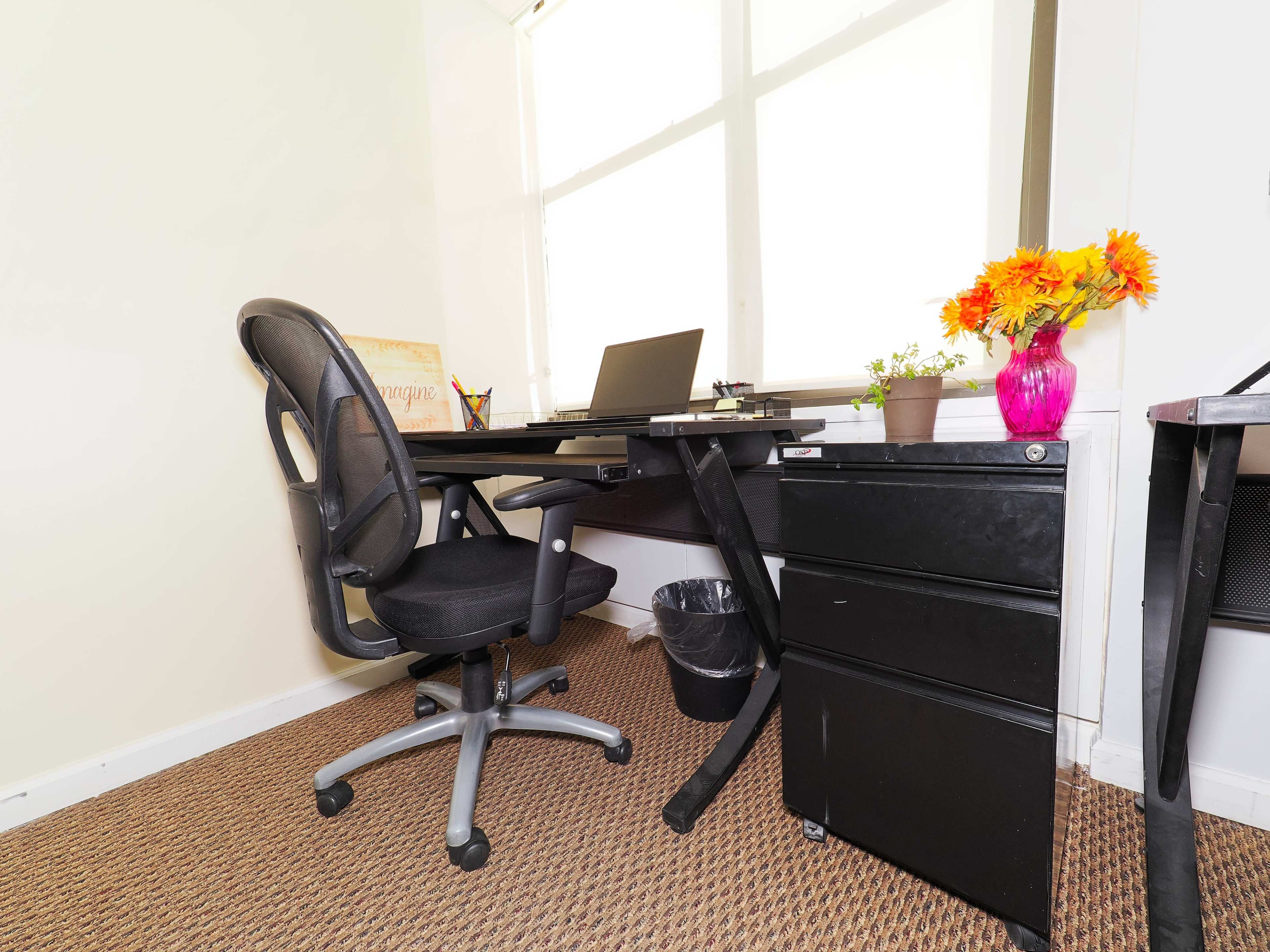 A black office chair is positioned at a desk with a laptop and a small potted plant, beside a black filing cabinet, within a well-lit room.