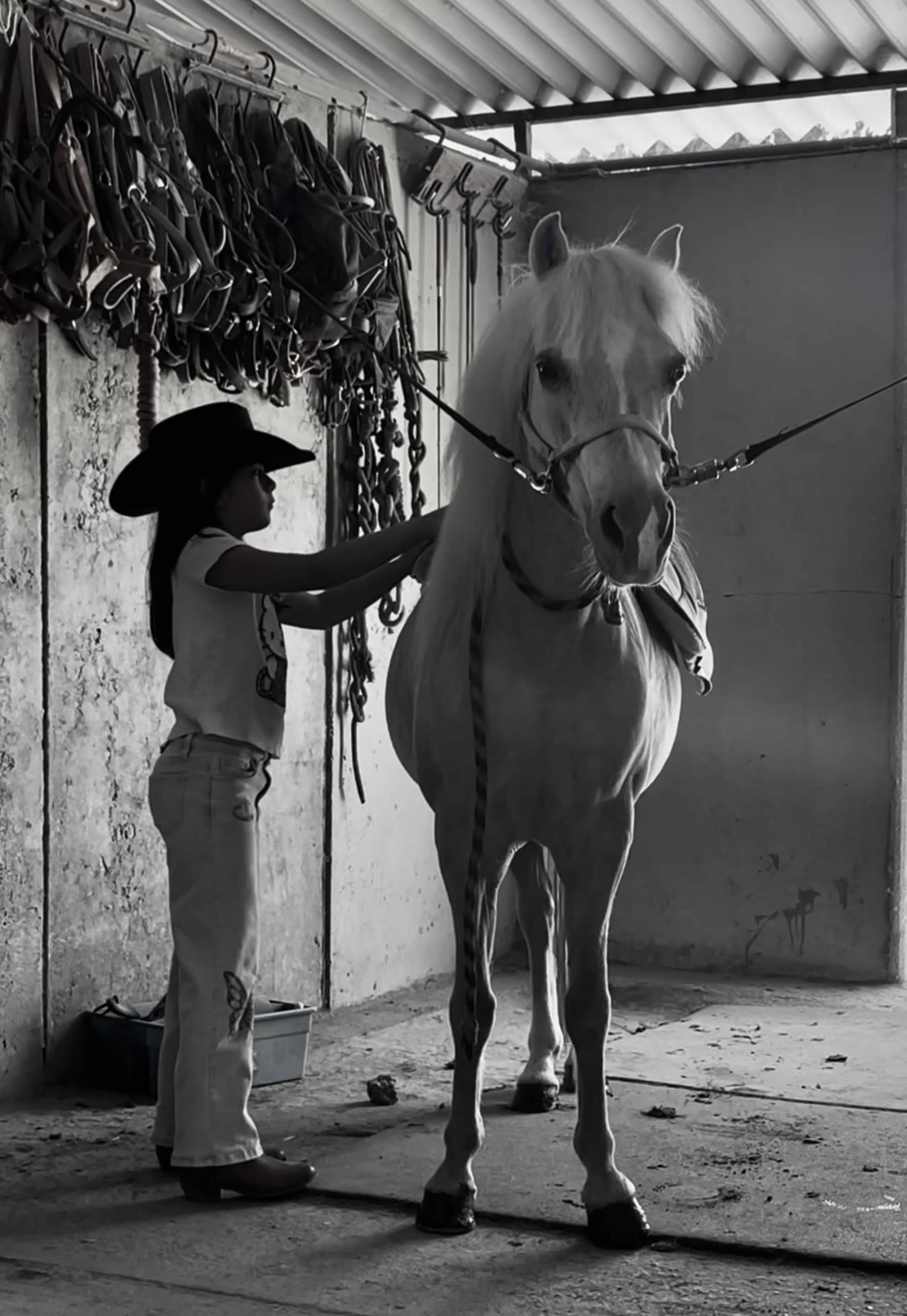 A young person with a cowboy hat is grooming a white horse inside a stable.