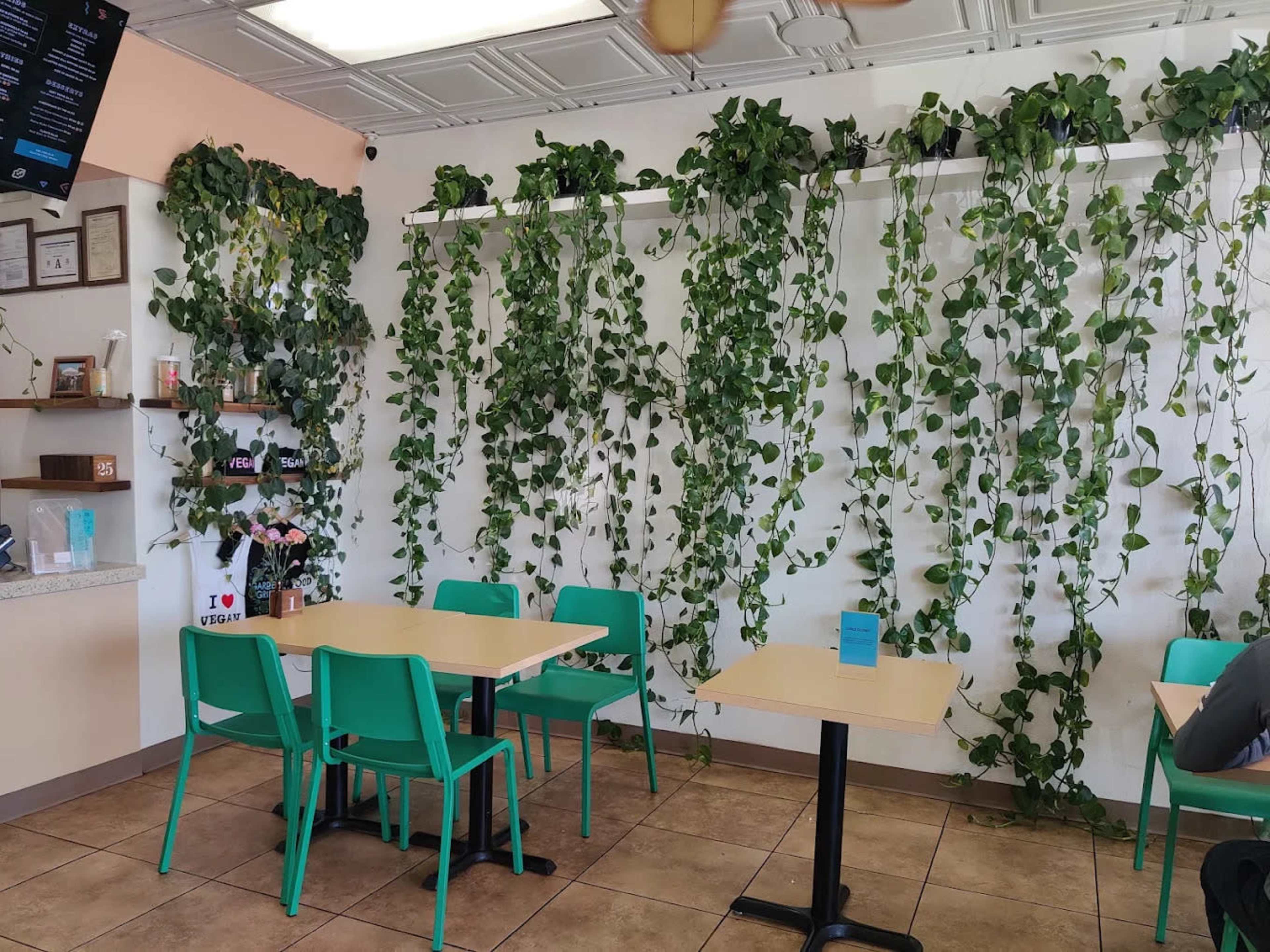 The image shows a café interior with several green plants hanging on the wall and light wooden tables paired with turquoise chairs.