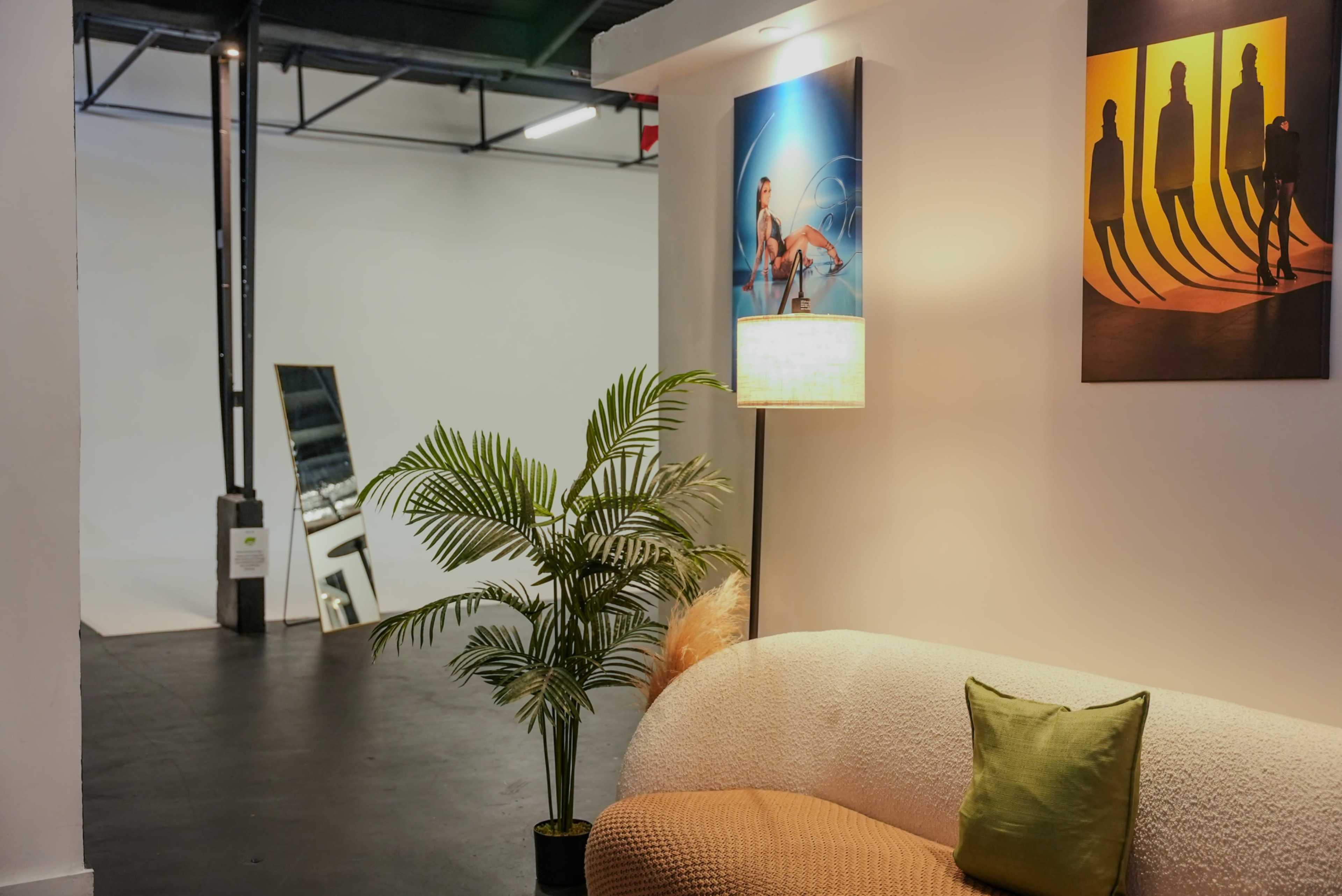 The image shows a modern interior space with a beige couch, a potted plant, and two framed artworks on the wall, while a mirror and a large open area are visible in the background.