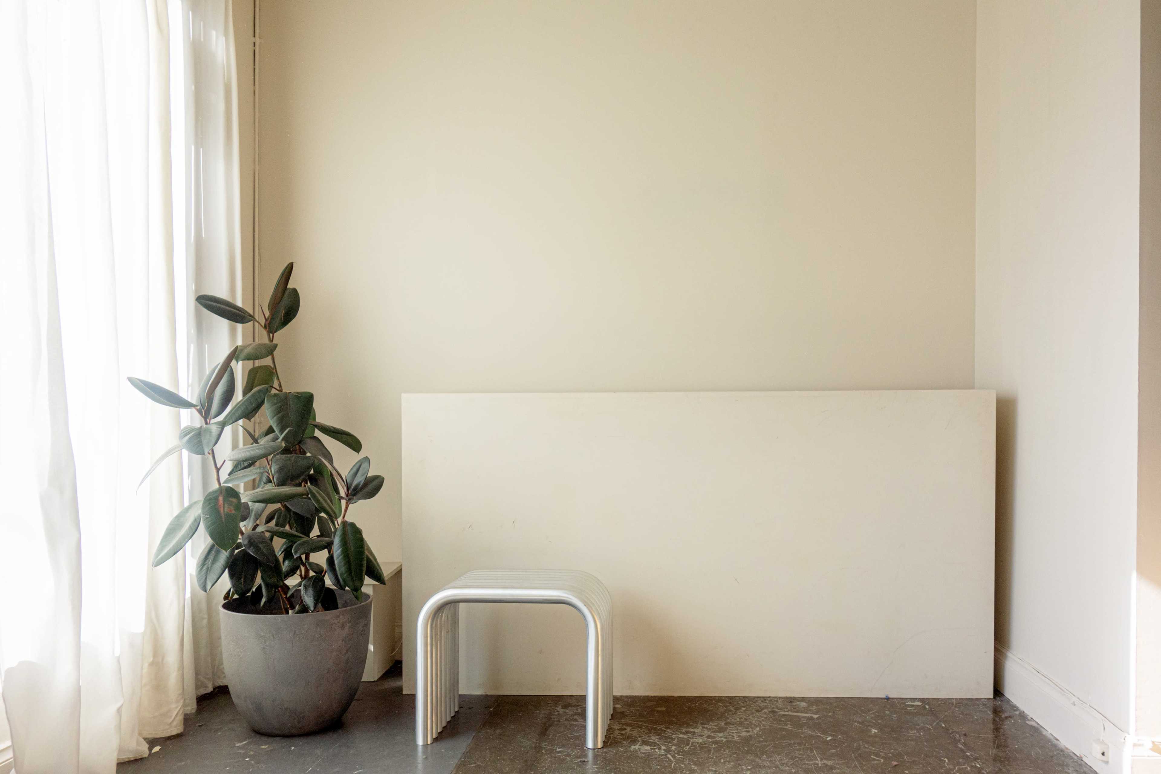 A minimalistic interior scene features a potted plant beside a white panel and a transparent acrylic stool.