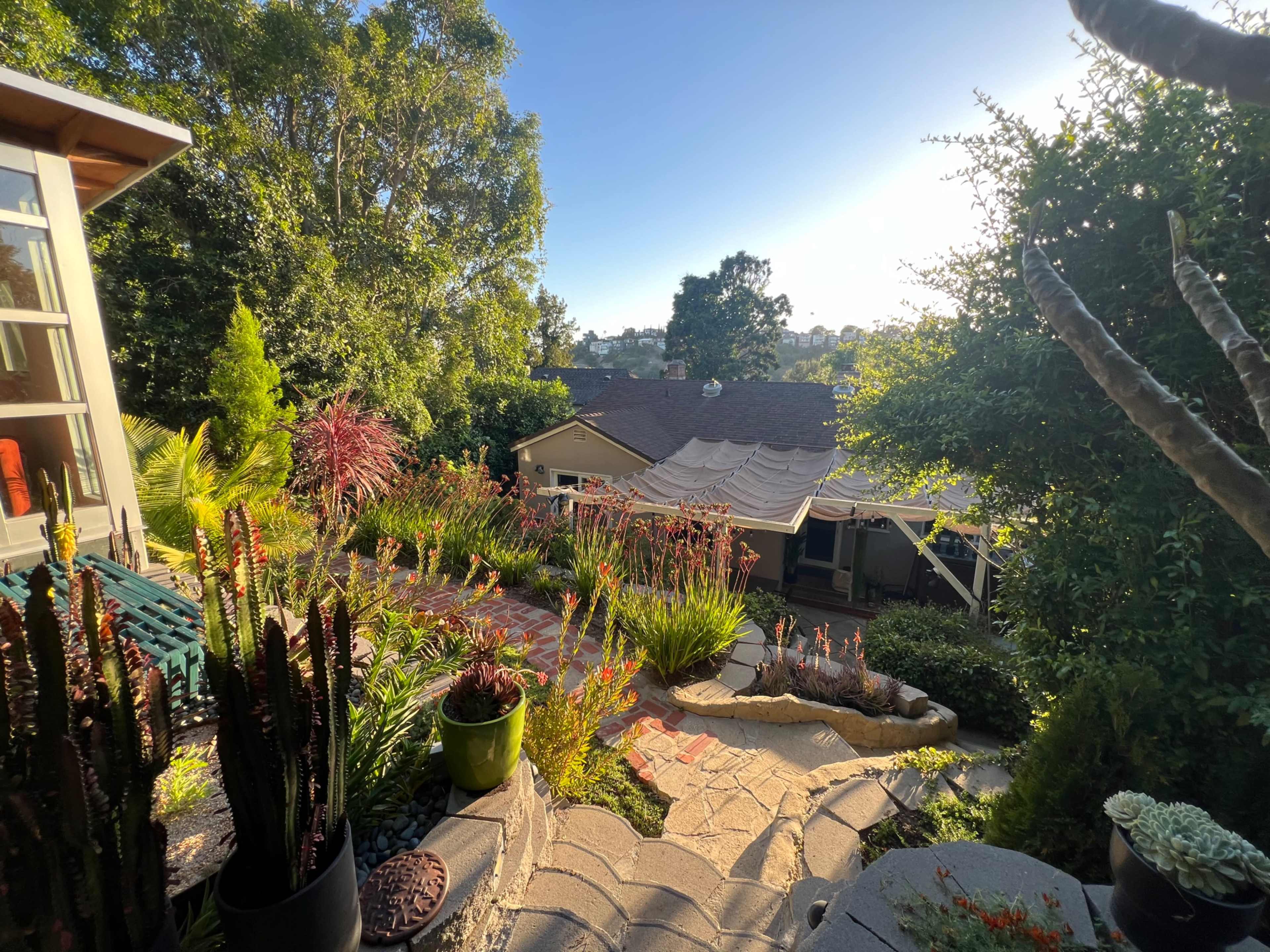 A pathway leads through a landscaped garden filled with various plants, overlooking a house with a canopy in the background.