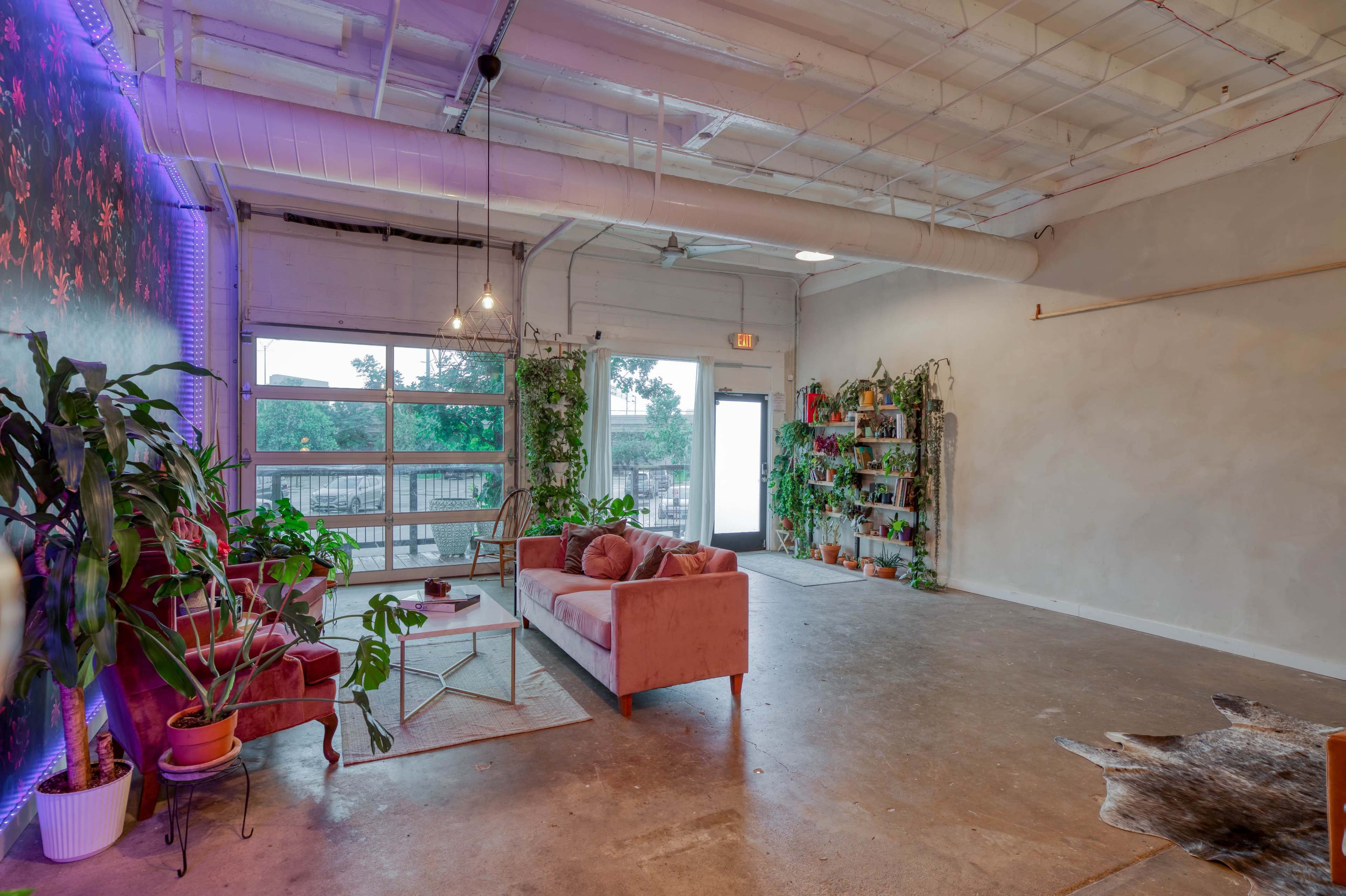 A spacious room with a pink sofa, plants, and a wall of shelves filled with decorative items.