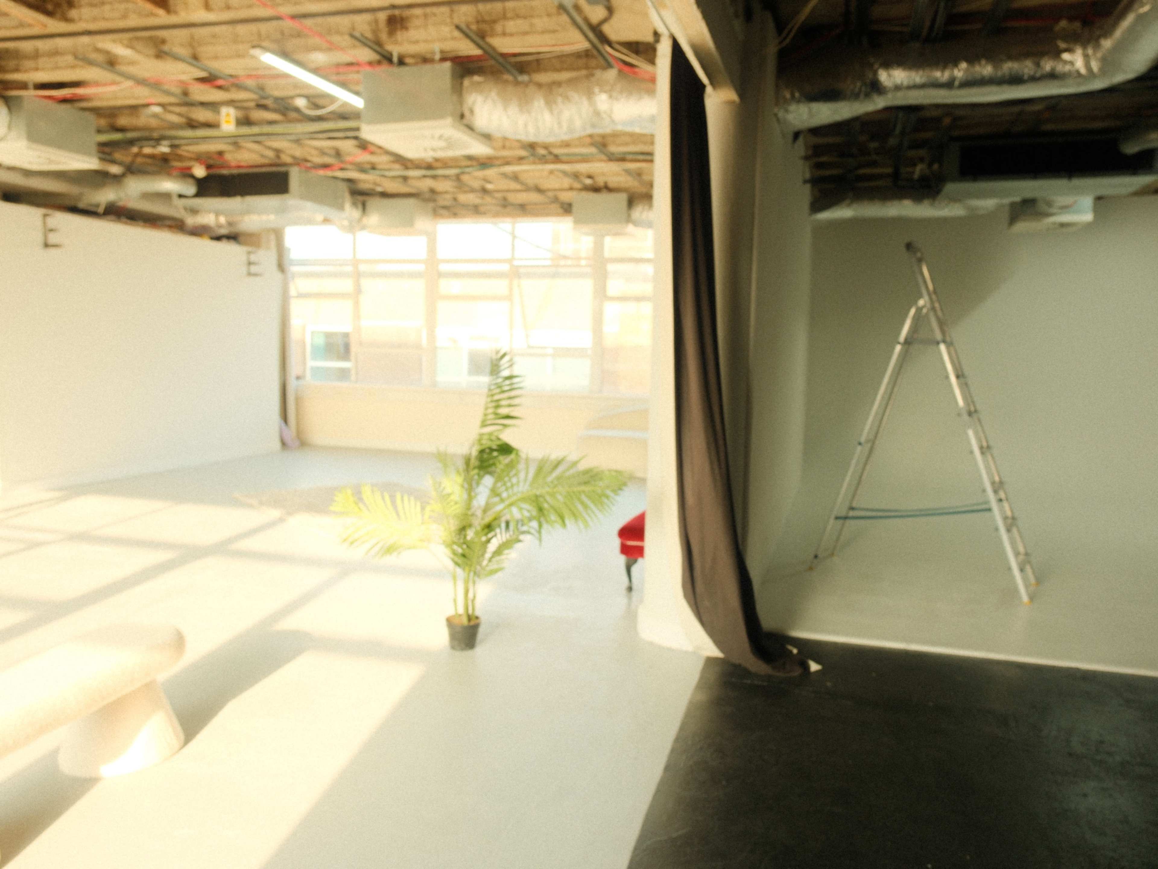 The image shows an empty studio space with a potted plant, a ladder, and partially painted walls.