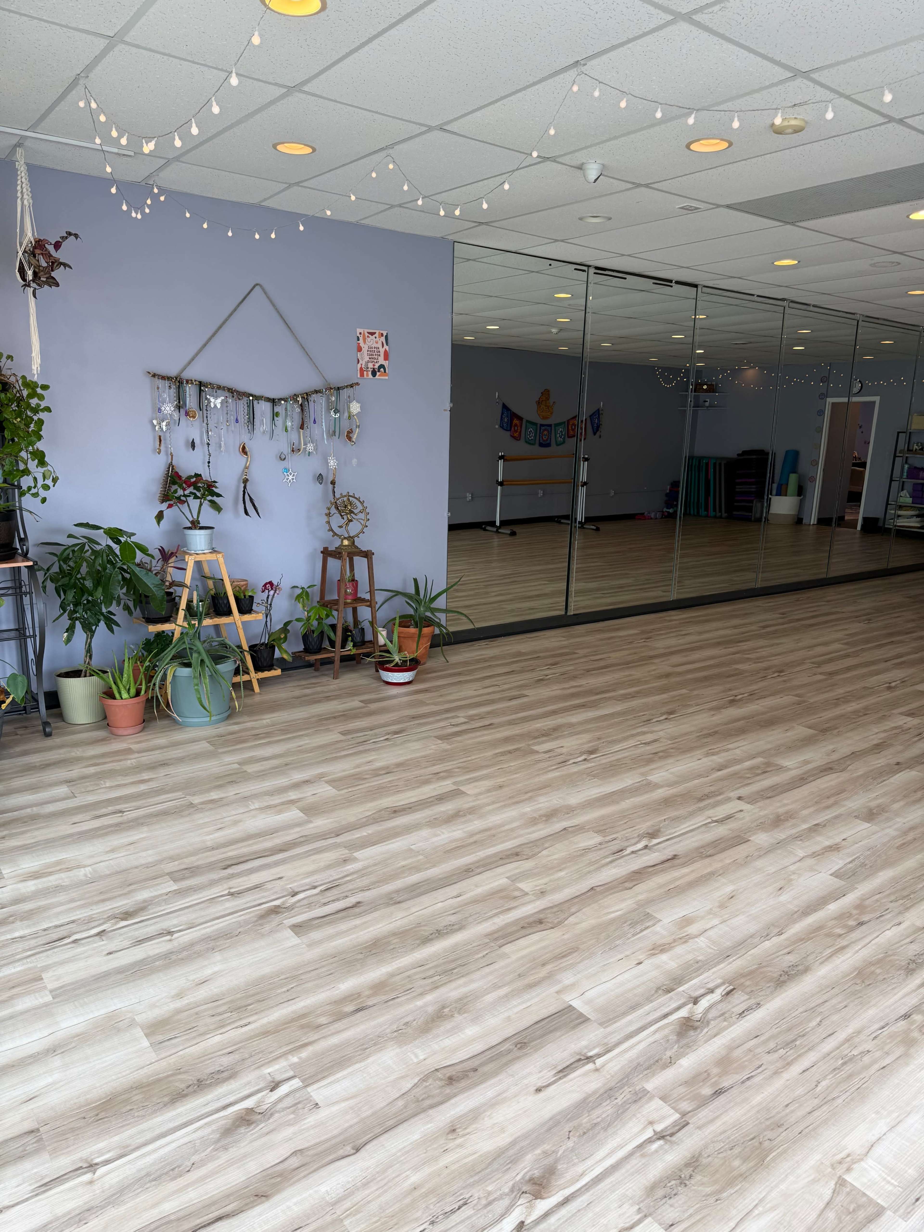 The image shows a spacious, well-lit studio with wooden flooring, plants, and mirrored walls.