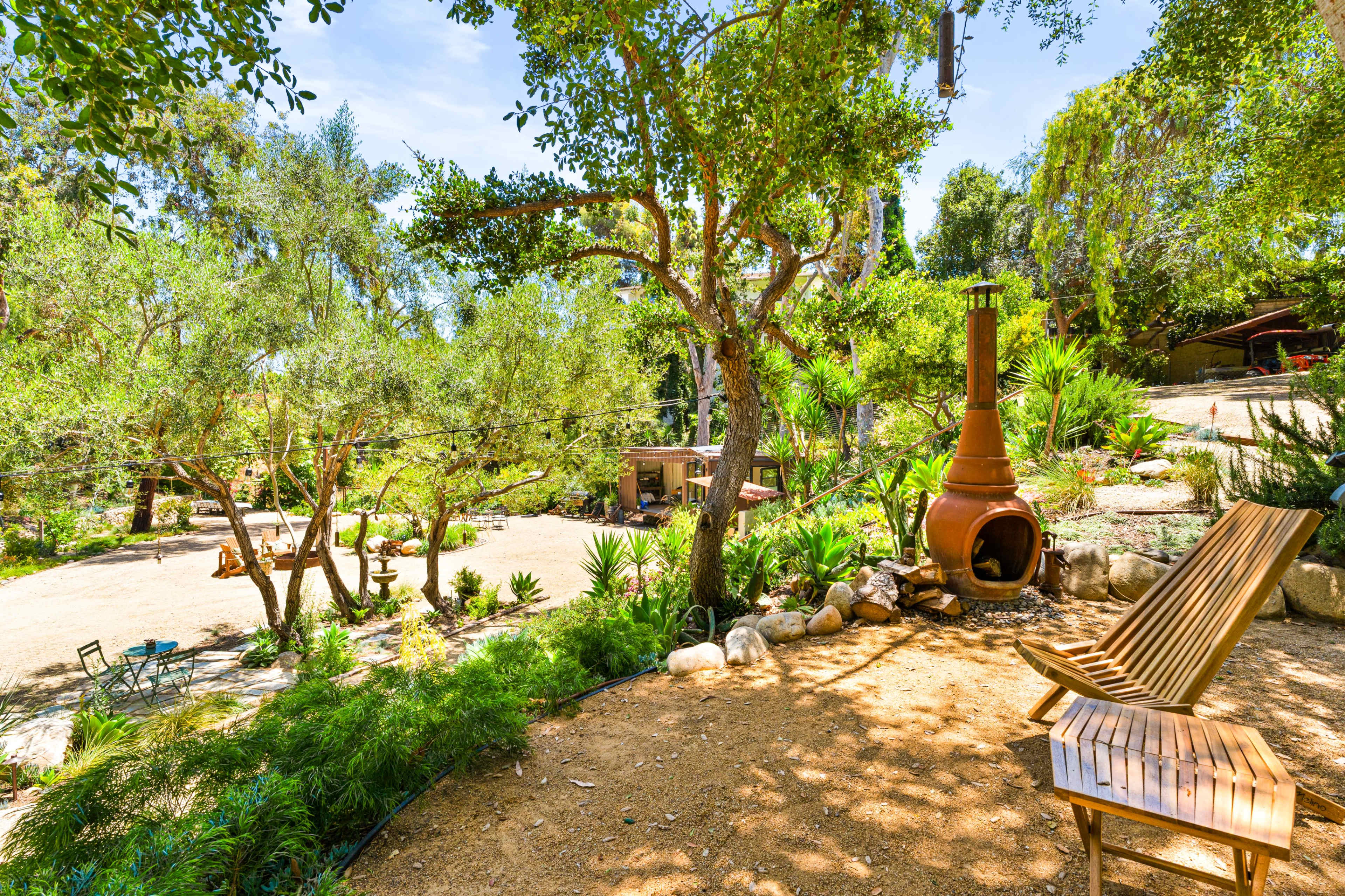 The image depicts a landscaped outdoor area featuring a wooden bench, a fire pit, and various trees and plants.