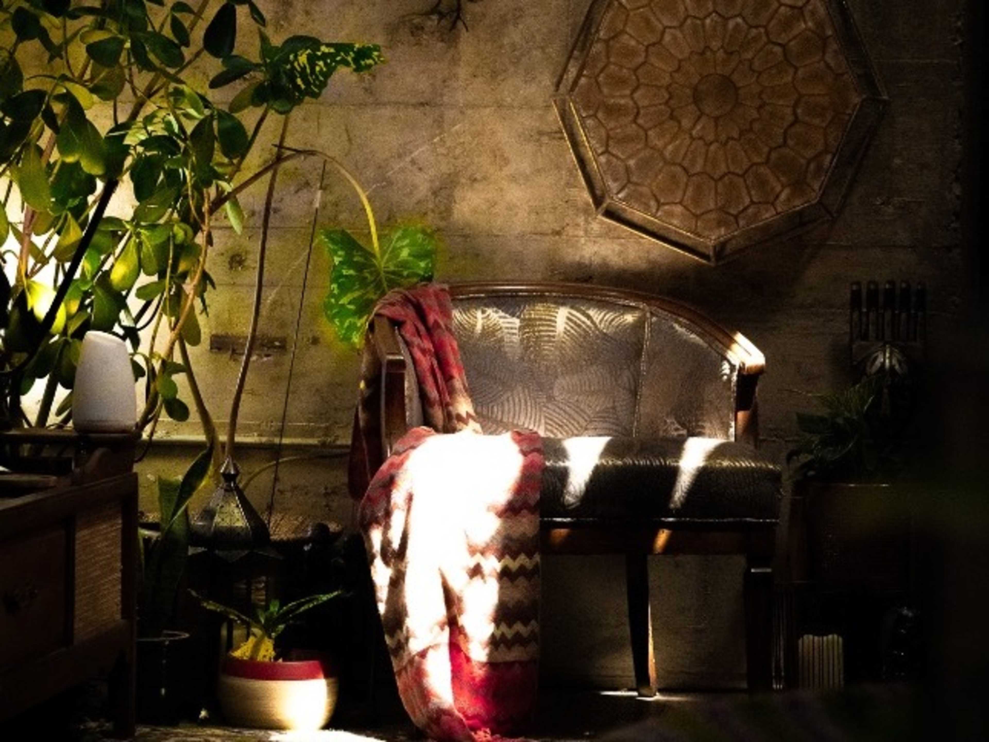 Studio Showing ( Pre Visit) 