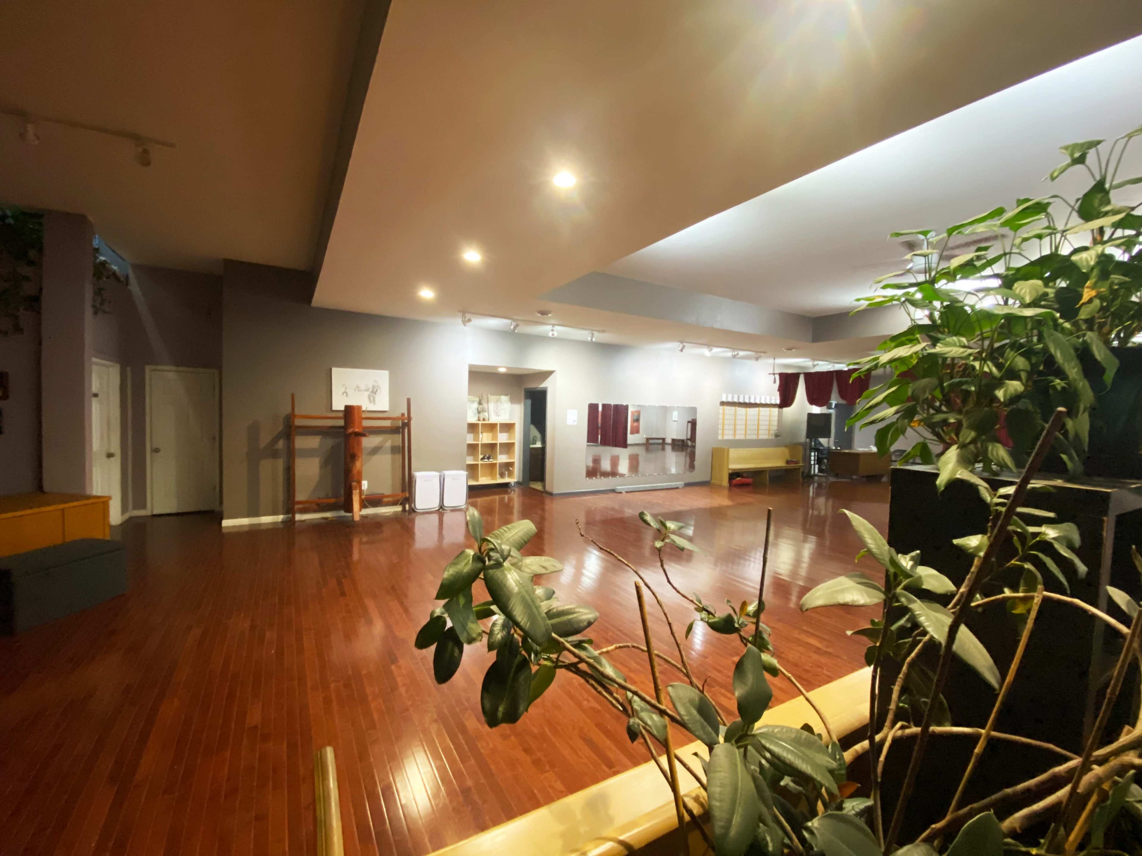 The image shows a spacious room with polished wooden floors, green plants in the foreground, and various shelves and equipment arranged along the walls.