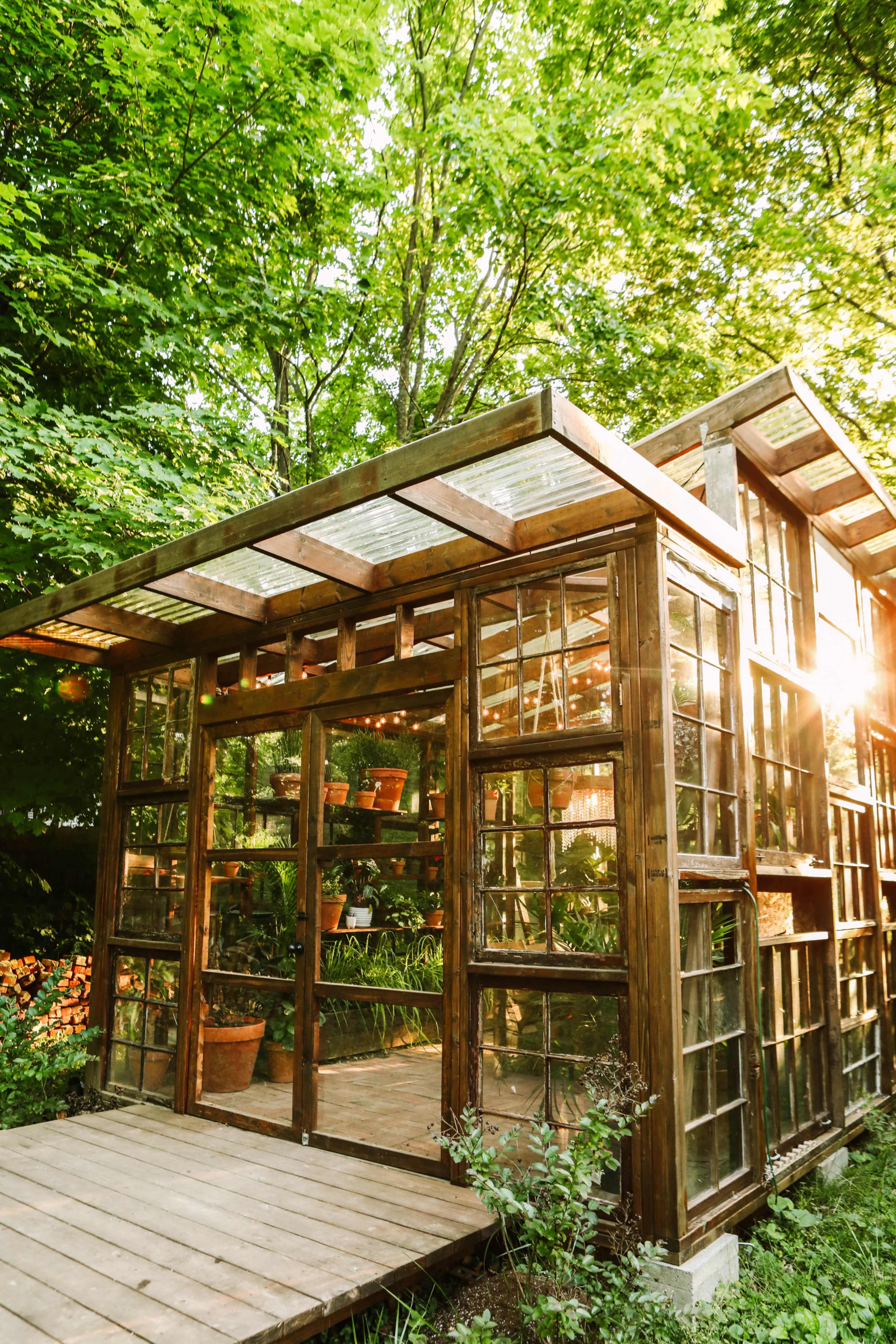 A glass greenhouse with a wooden frame sits among lush greenery, illuminated by sunlight filtering through the trees.