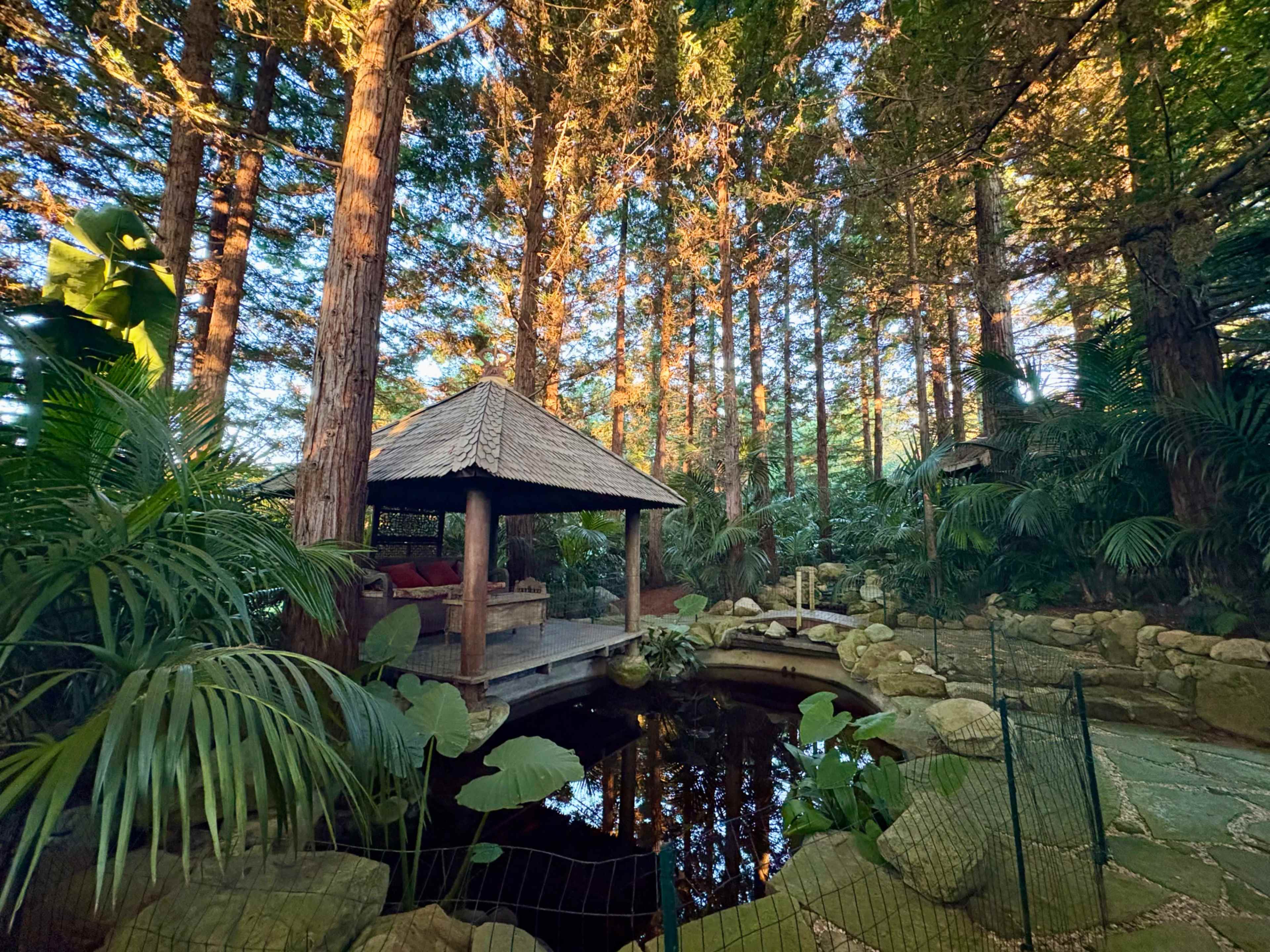 Lush Bali-Inspired Garden in a Redwood Grove Image in Montecito, Santa Barbara, CA