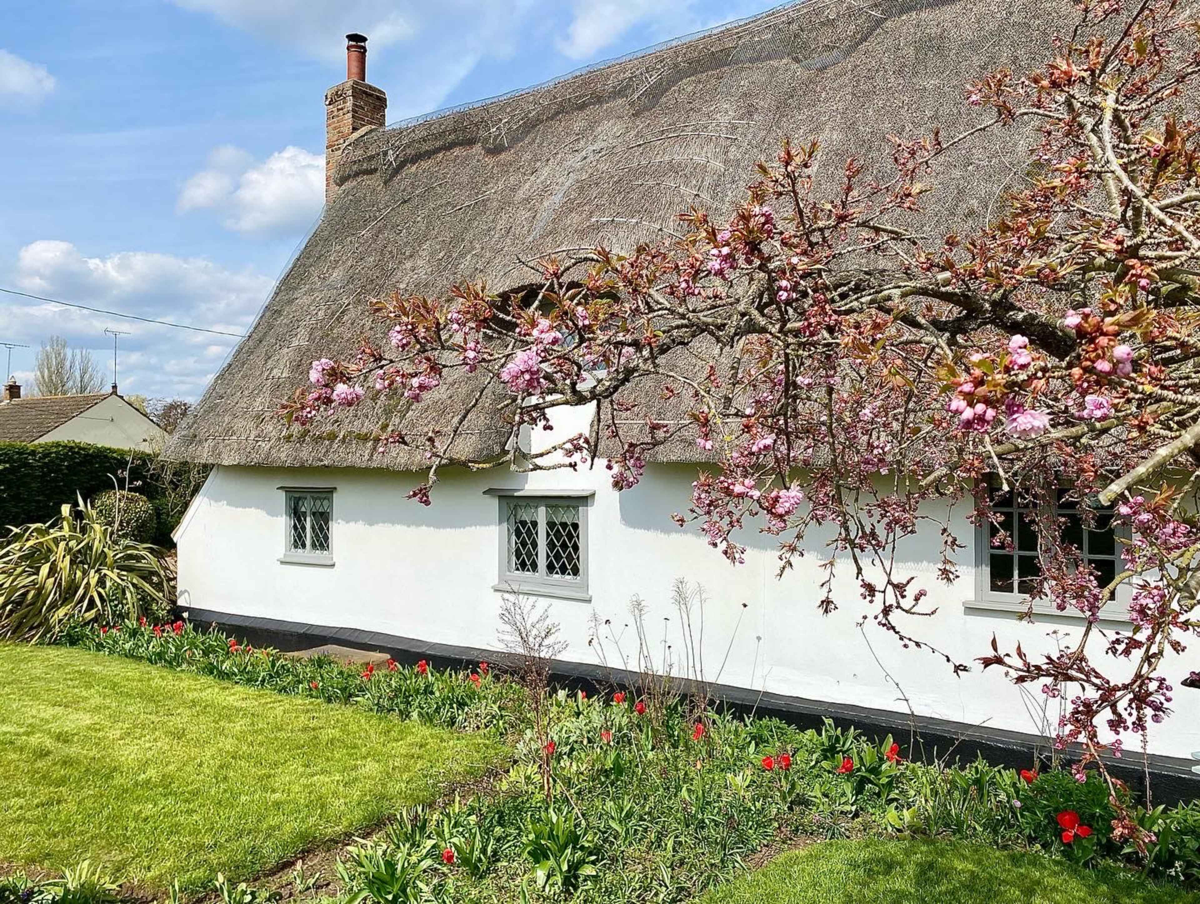 A thatched-roof cottage is surrounded by a garden featuring blooming flowers and a cherry blossom tree.