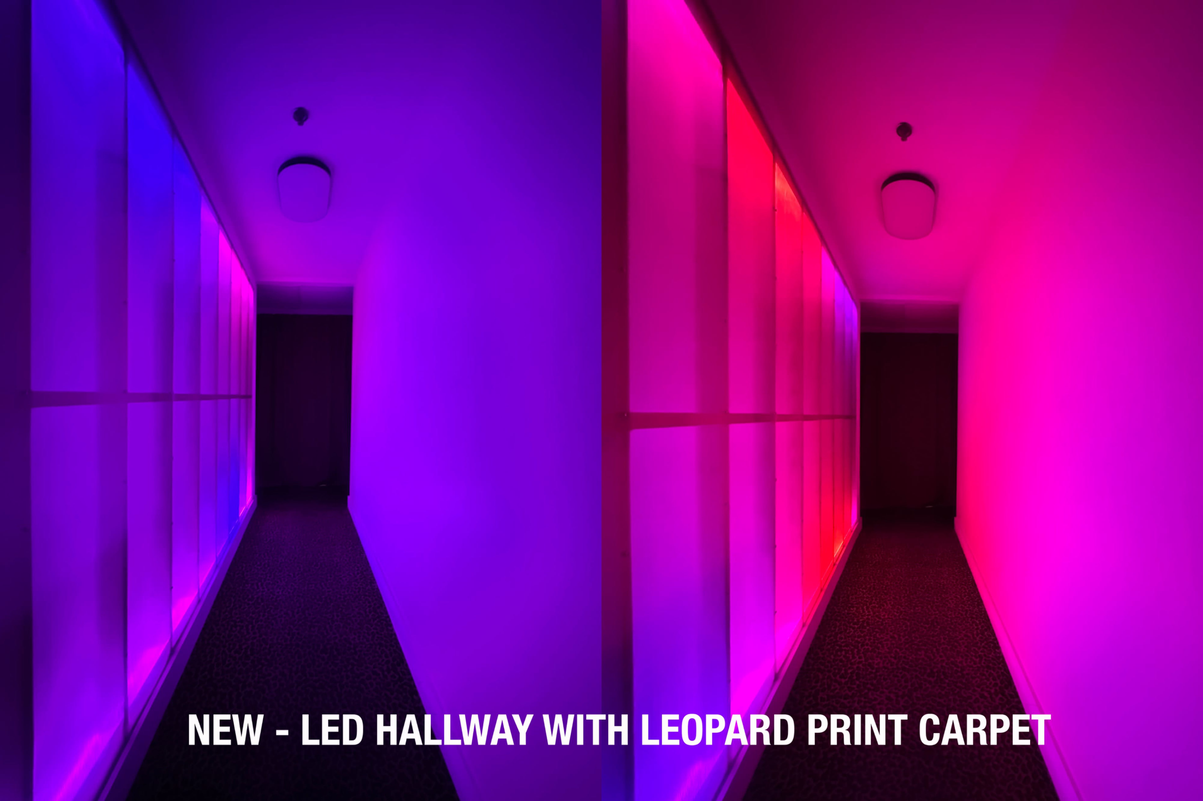 The image features a hallway illuminated with LED lights, showcasing a leopard print carpet along the floor.