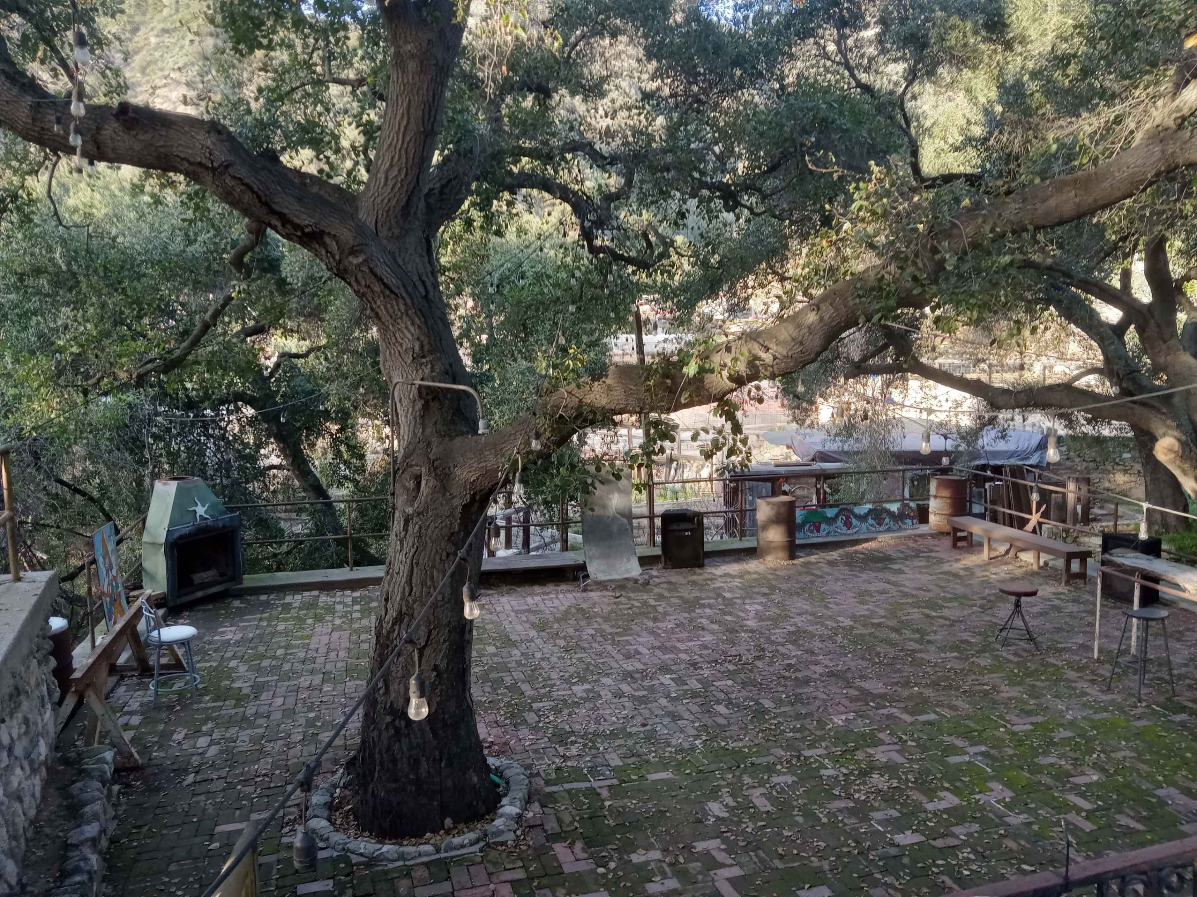 The image shows an outdoor area with a large tree, a brick floor, and various seating arrangements surrounding a wooden deck.