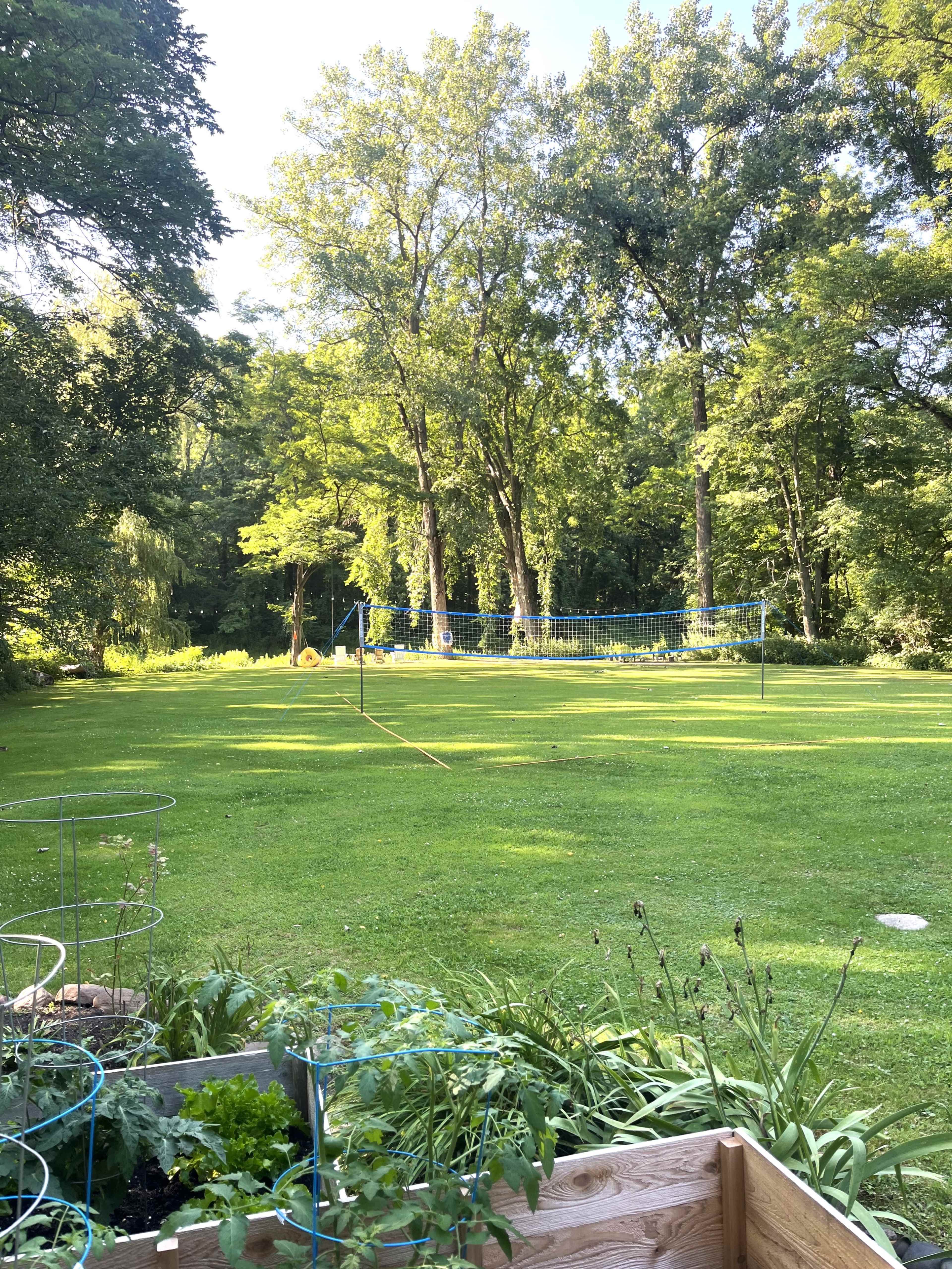 A green lawn with a volleyball net set up in the background, surrounded by trees and a garden bed in the foreground.