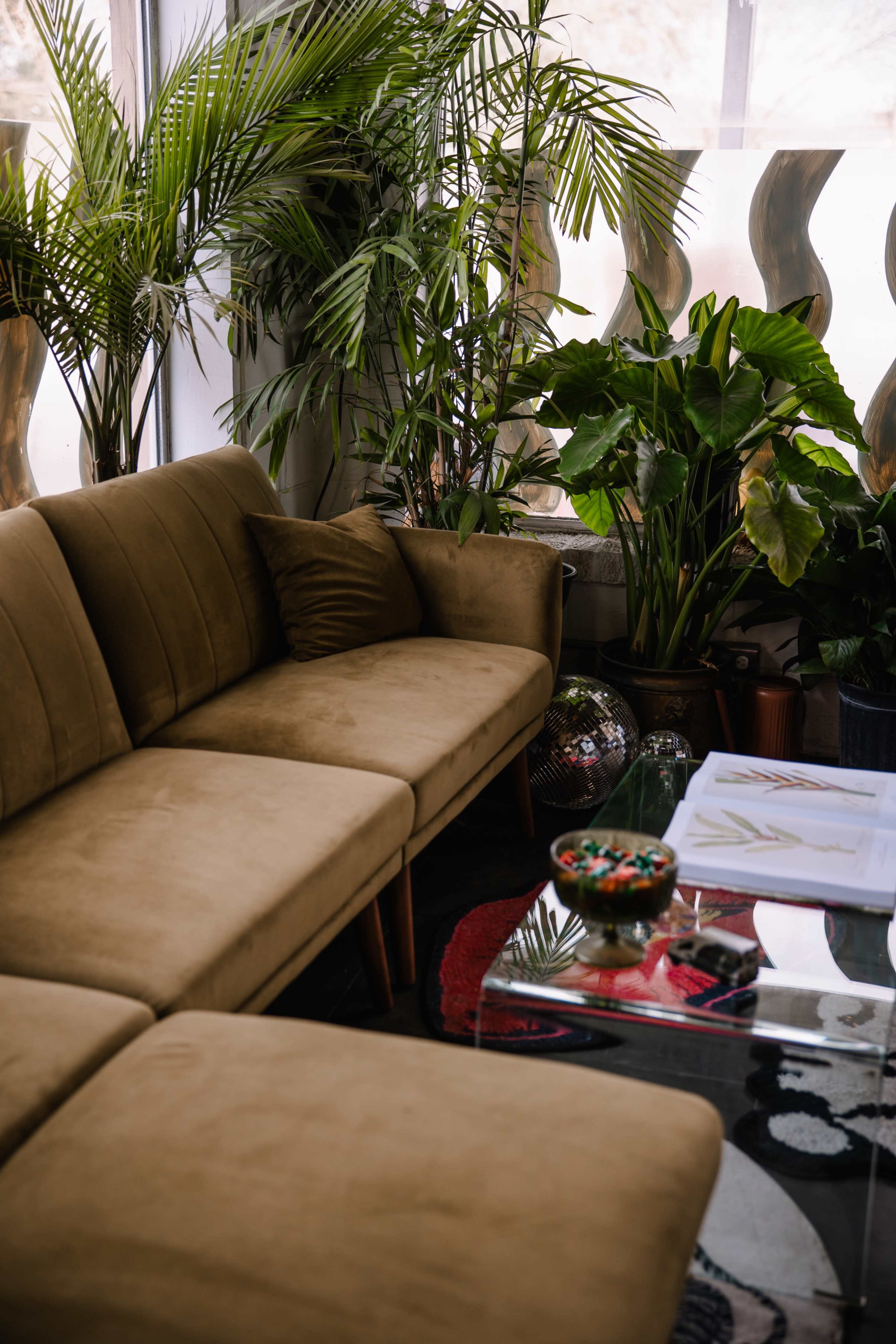 A beige sectional couch is positioned in a room filled with various potted plants and a glass coffee table displaying a decorative bowl.