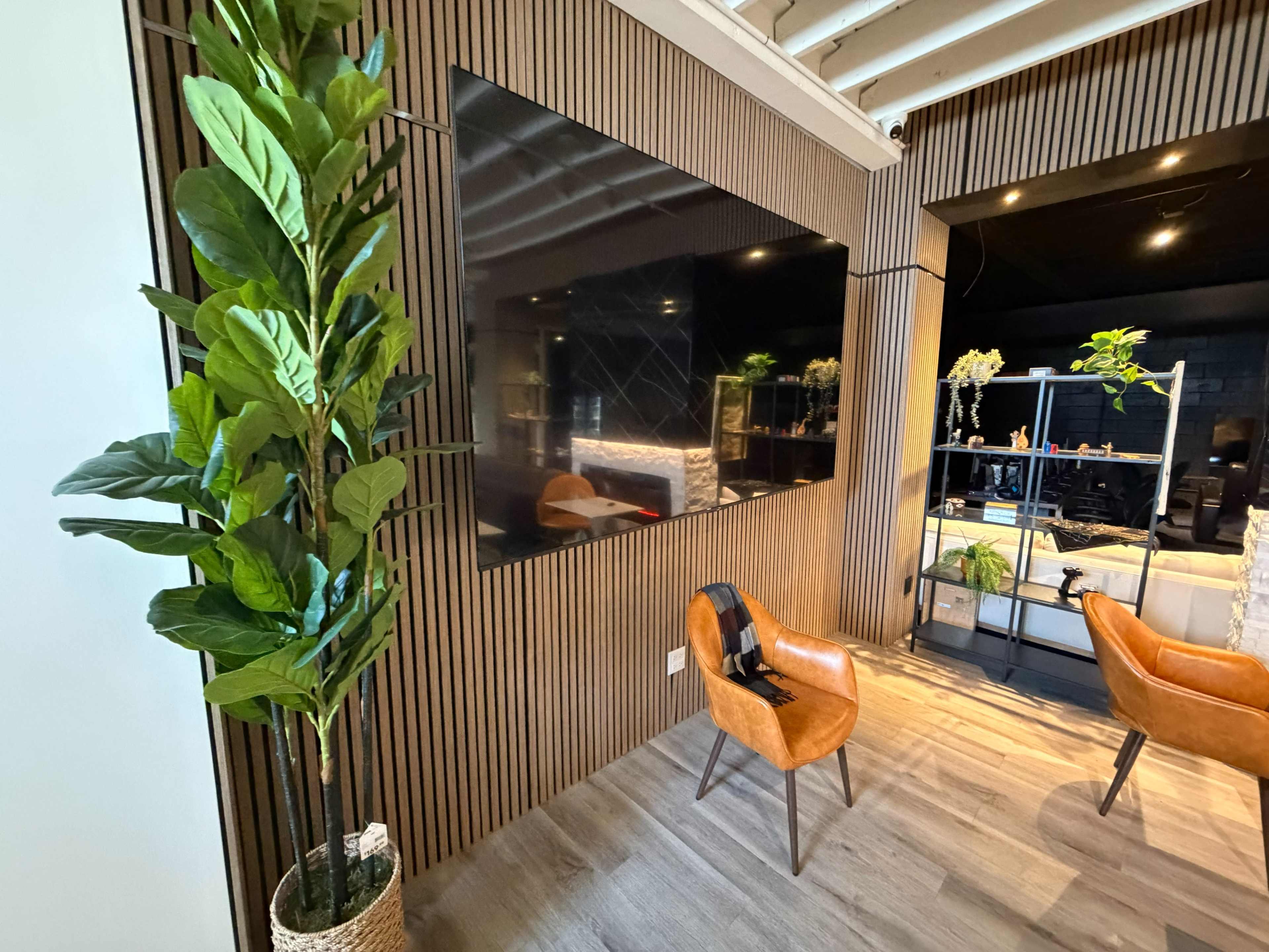 The image shows a modern interior space featuring a wall-mounted television, a tall indoor plant, and two stylish chairs.