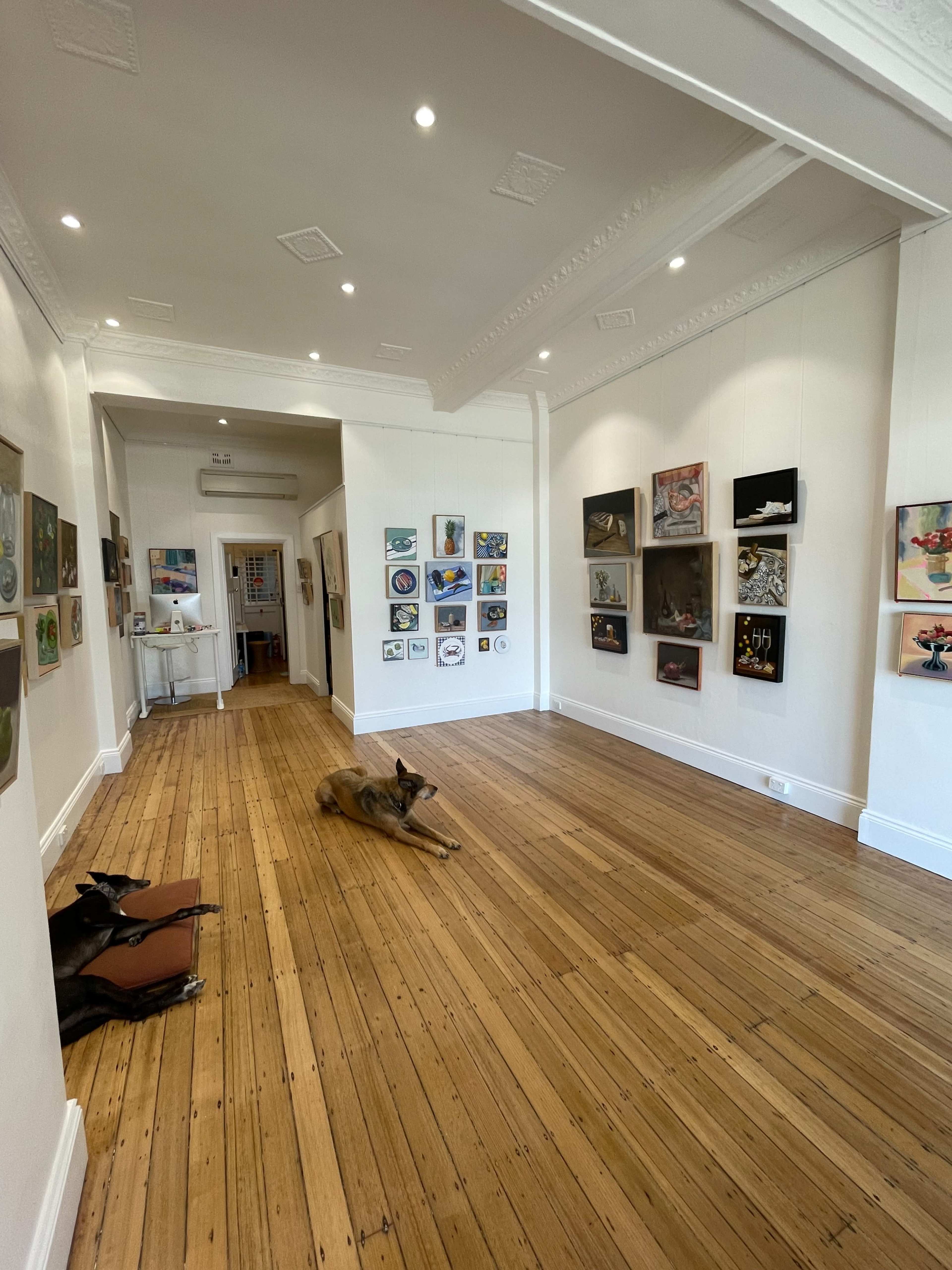 Exclusive Woollahra Gallery Space Image in Woollahra, Woollahra, NSW