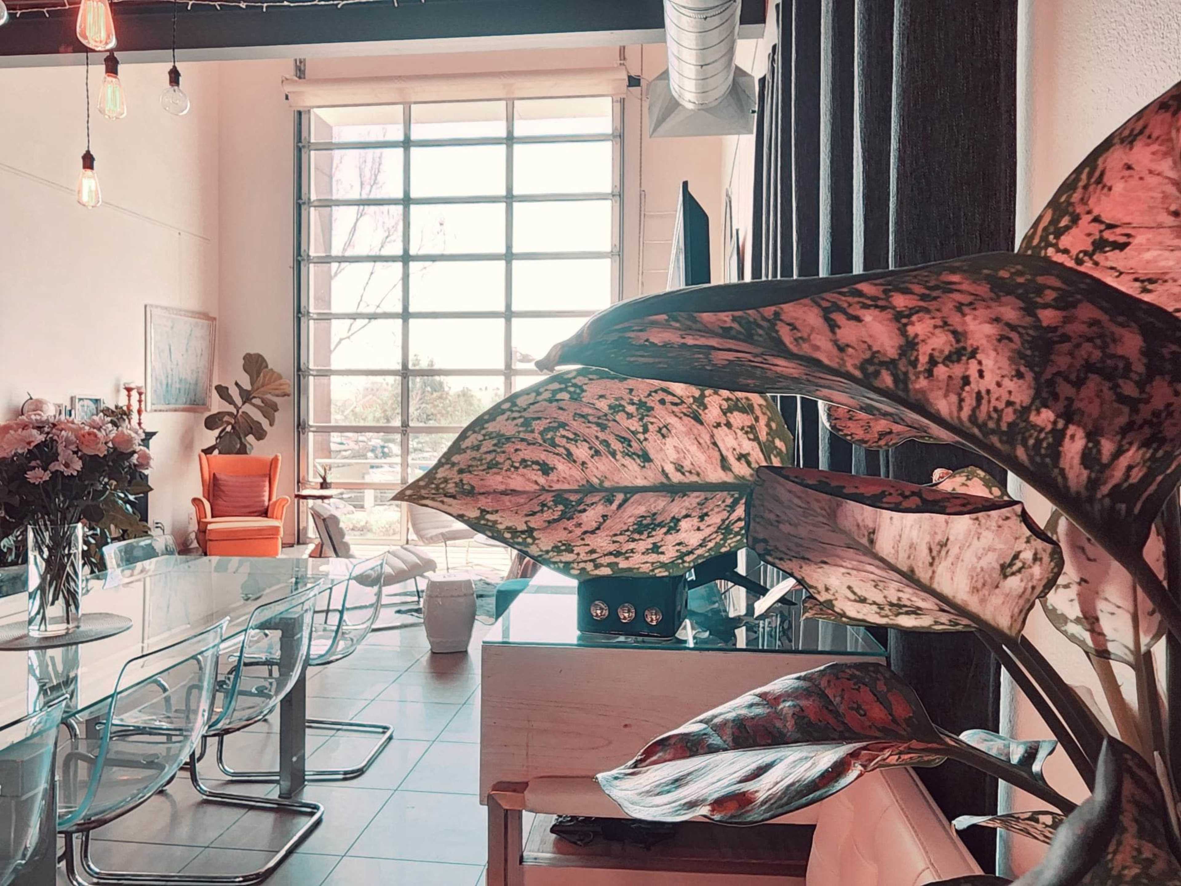 A modern interior space featuring a glass dining table, plants, and a bright orange chair near a large window.