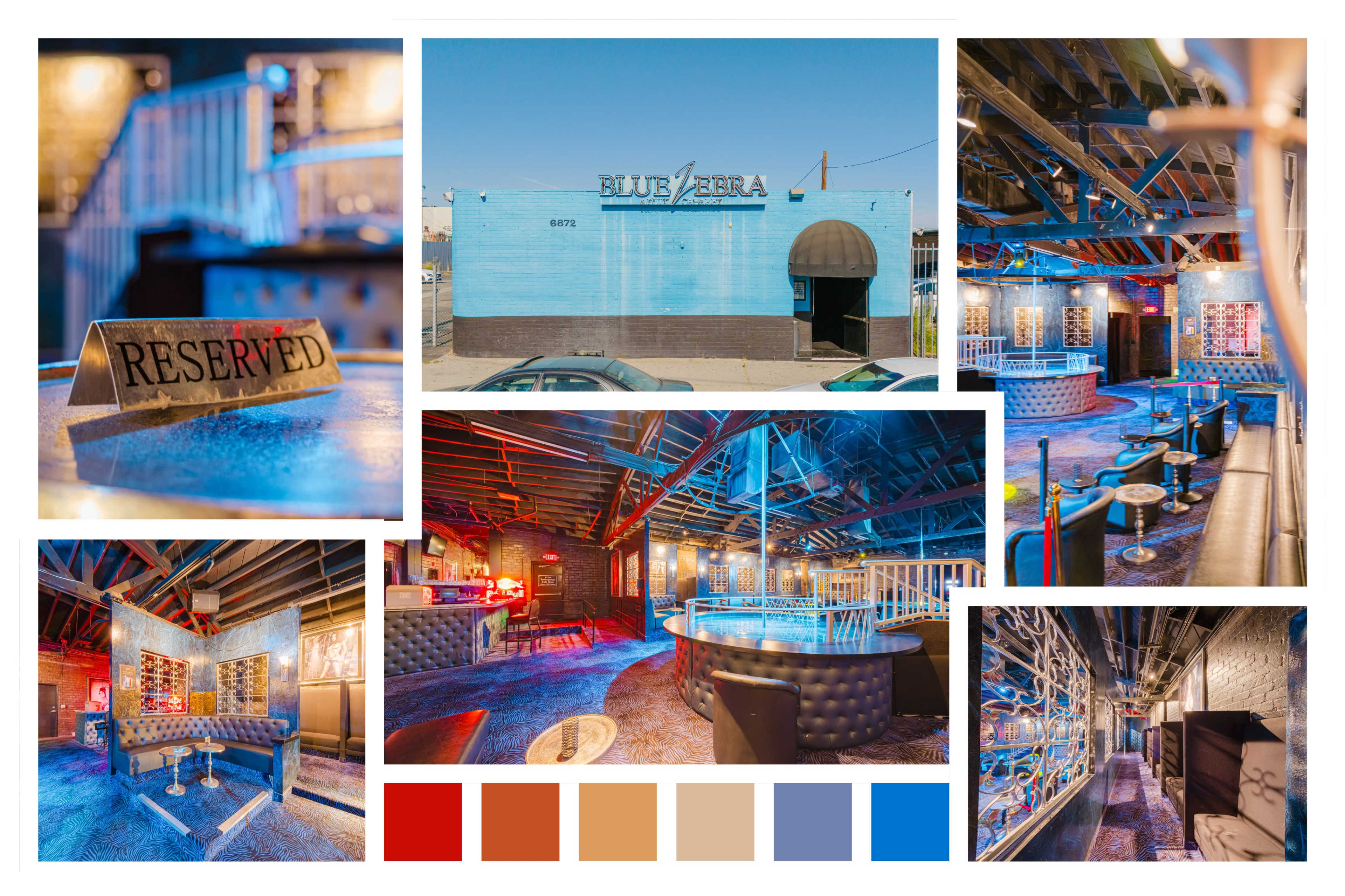 The image showcases a vibrant nightlife venue named "Blue Zebra," featuring a reserved seating area, colorful lighting, and a spacious interior with bar and lounge areas.